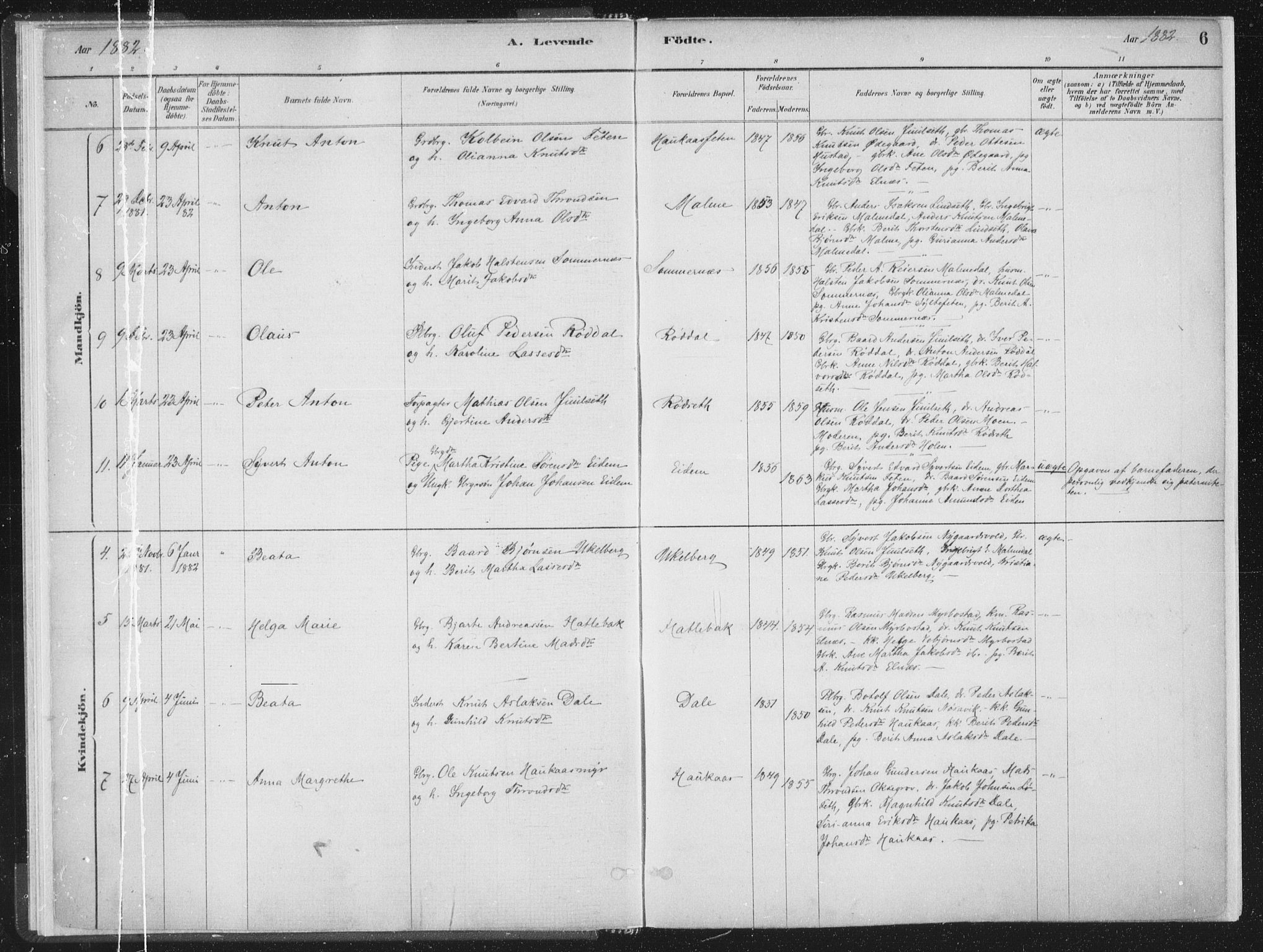 Ministerialprotokoller, klokkerbøker og fødselsregistre - Møre og Romsdal, AV/SAT-A-1454/564/L0740: Parish register (official) no. 564A01, 1880-1899, p. 6