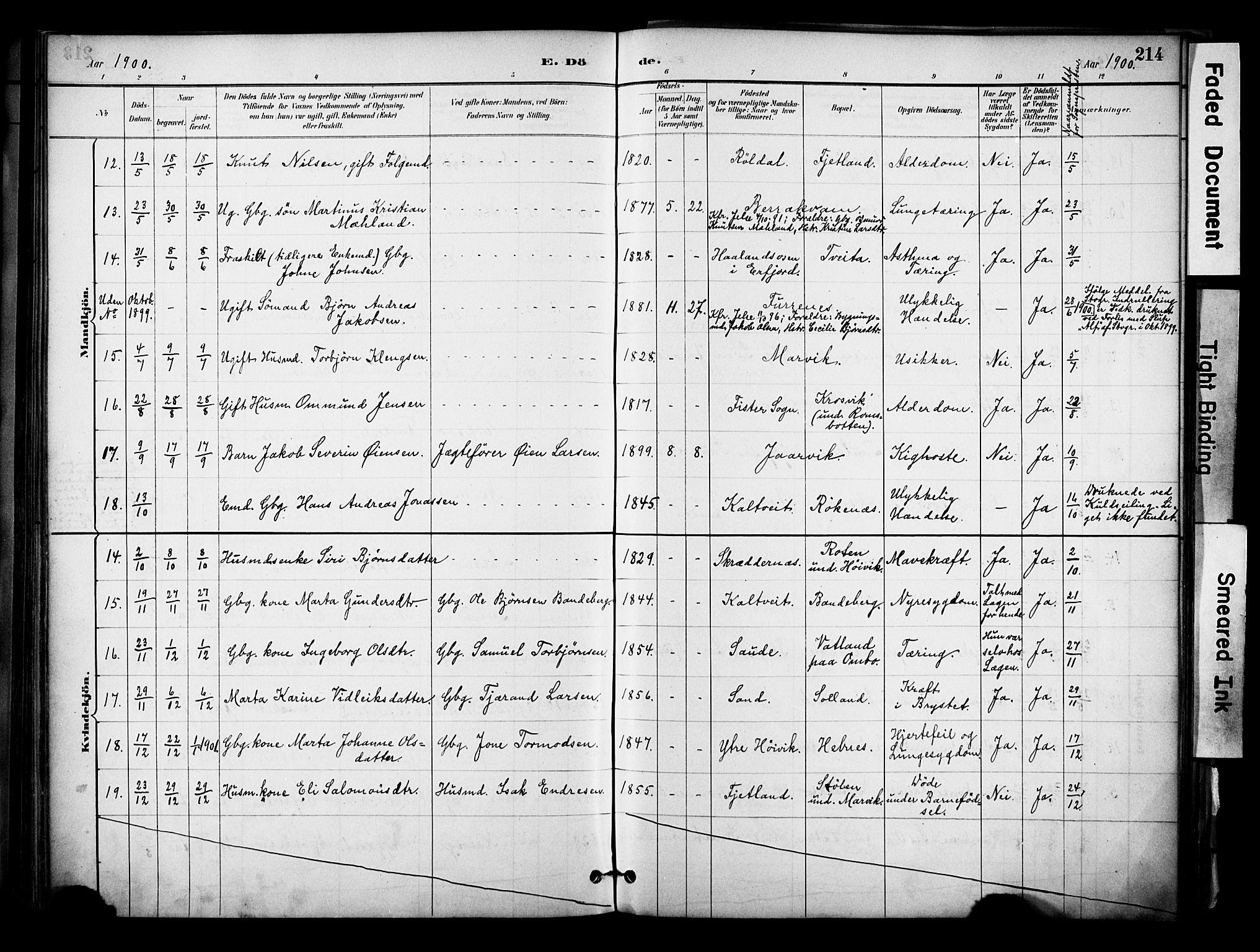 Jelsa sokneprestkontor, AV/SAST-A-101842/01/IV: Parish register (official) no. A 10, 1884-1906, p. 214