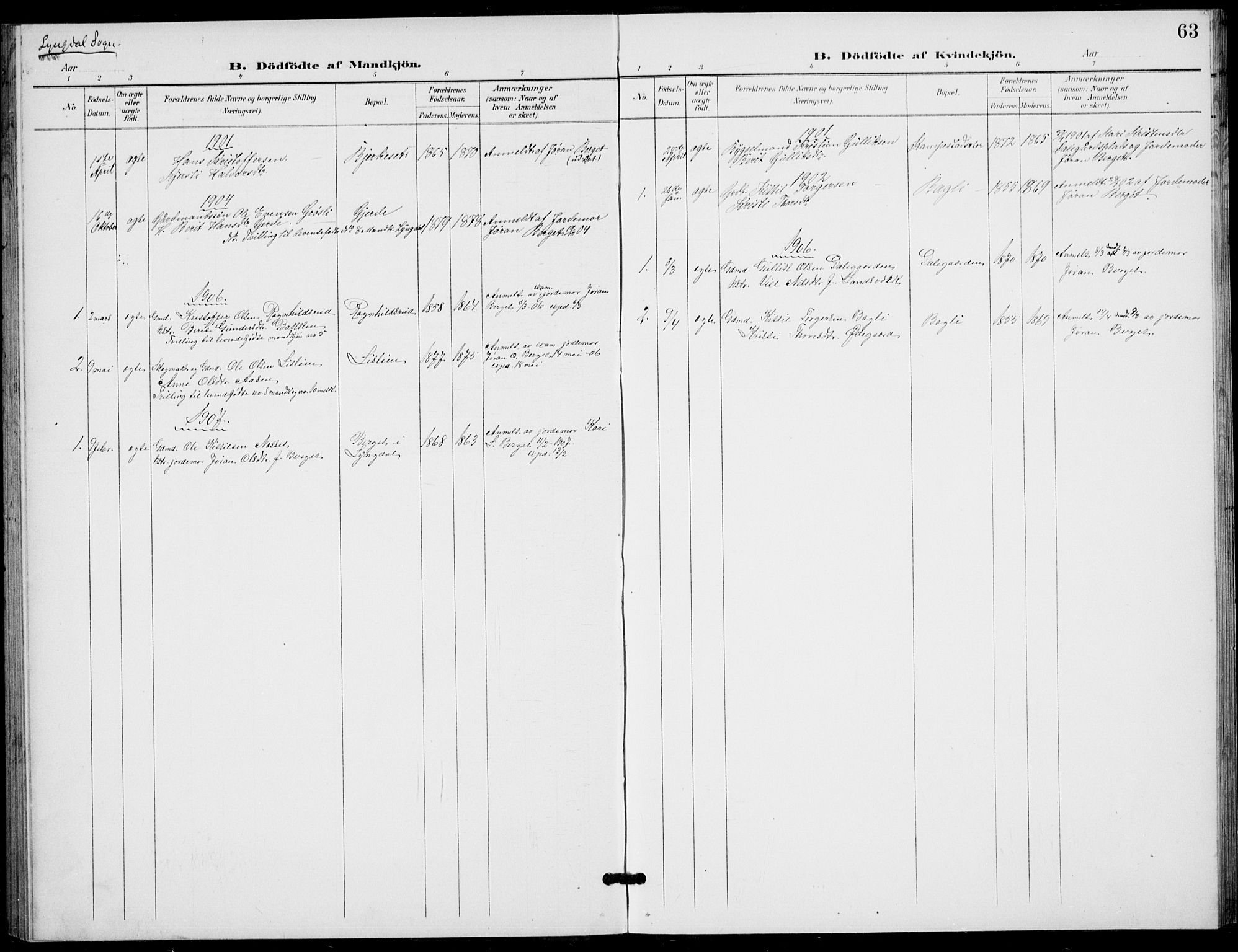 Flesberg kirkebøker, SAKO/A-18/G/Ga/L0005: Parish register (copy) no. I 5, 1899-1908, p. 63