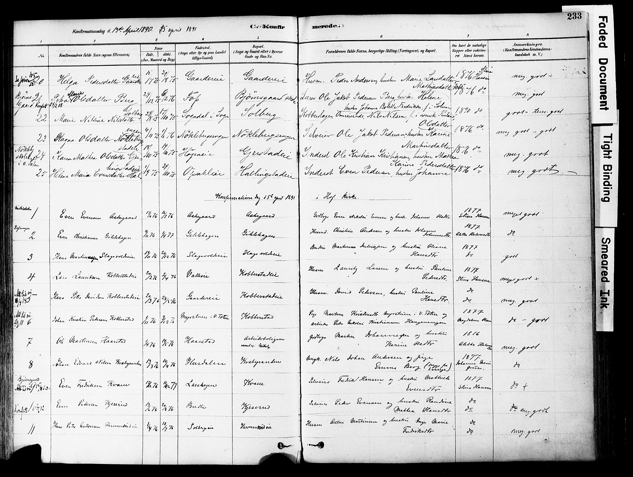 Østre Toten prestekontor, SAH/PREST-104/H/Ha/Haa/L0006: Parish register (official) no. 6 /1, 1878-1896, p. 233