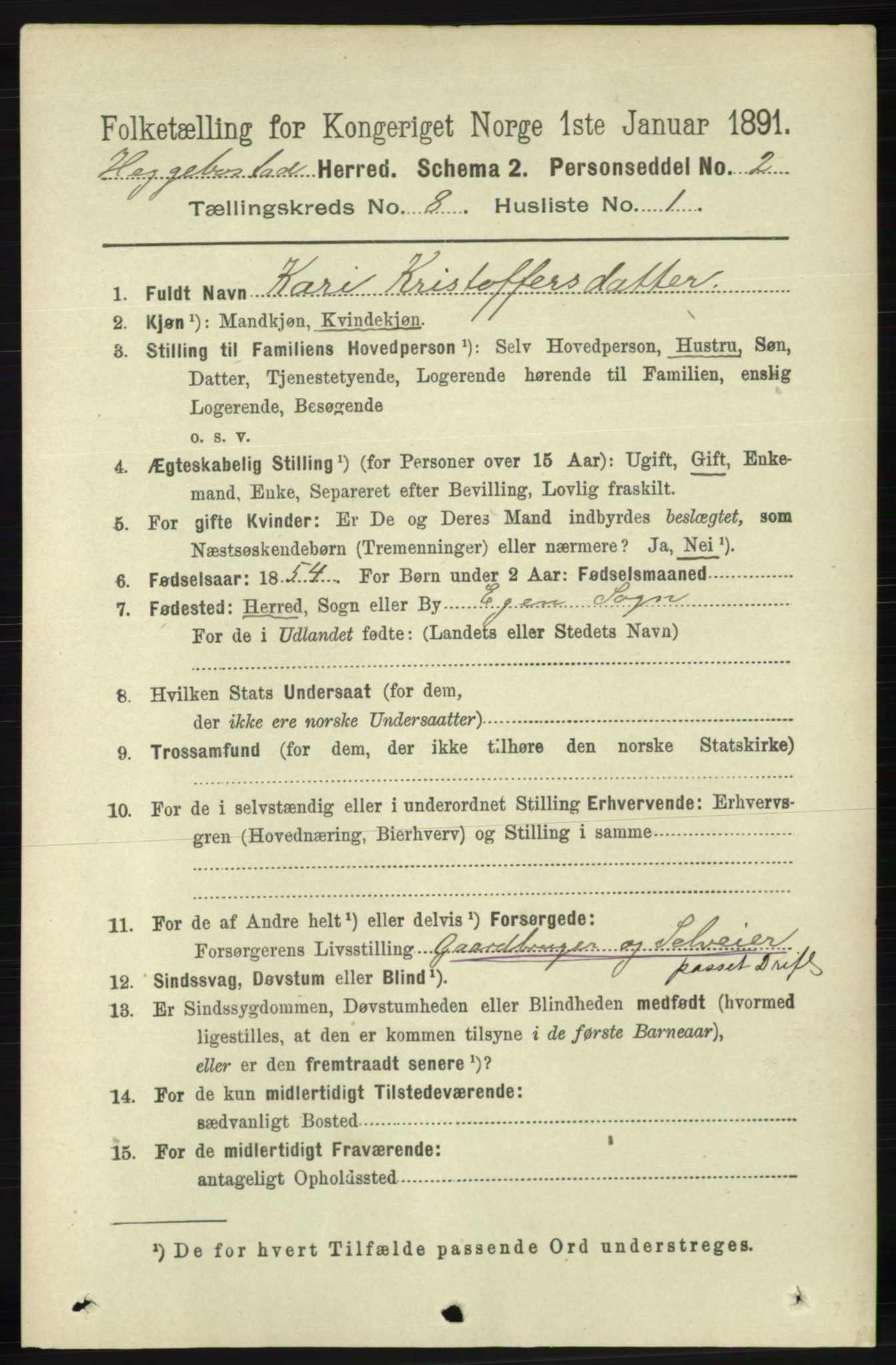 RA, 1891 census for 1034 Hægebostad, 1891, p. 2466