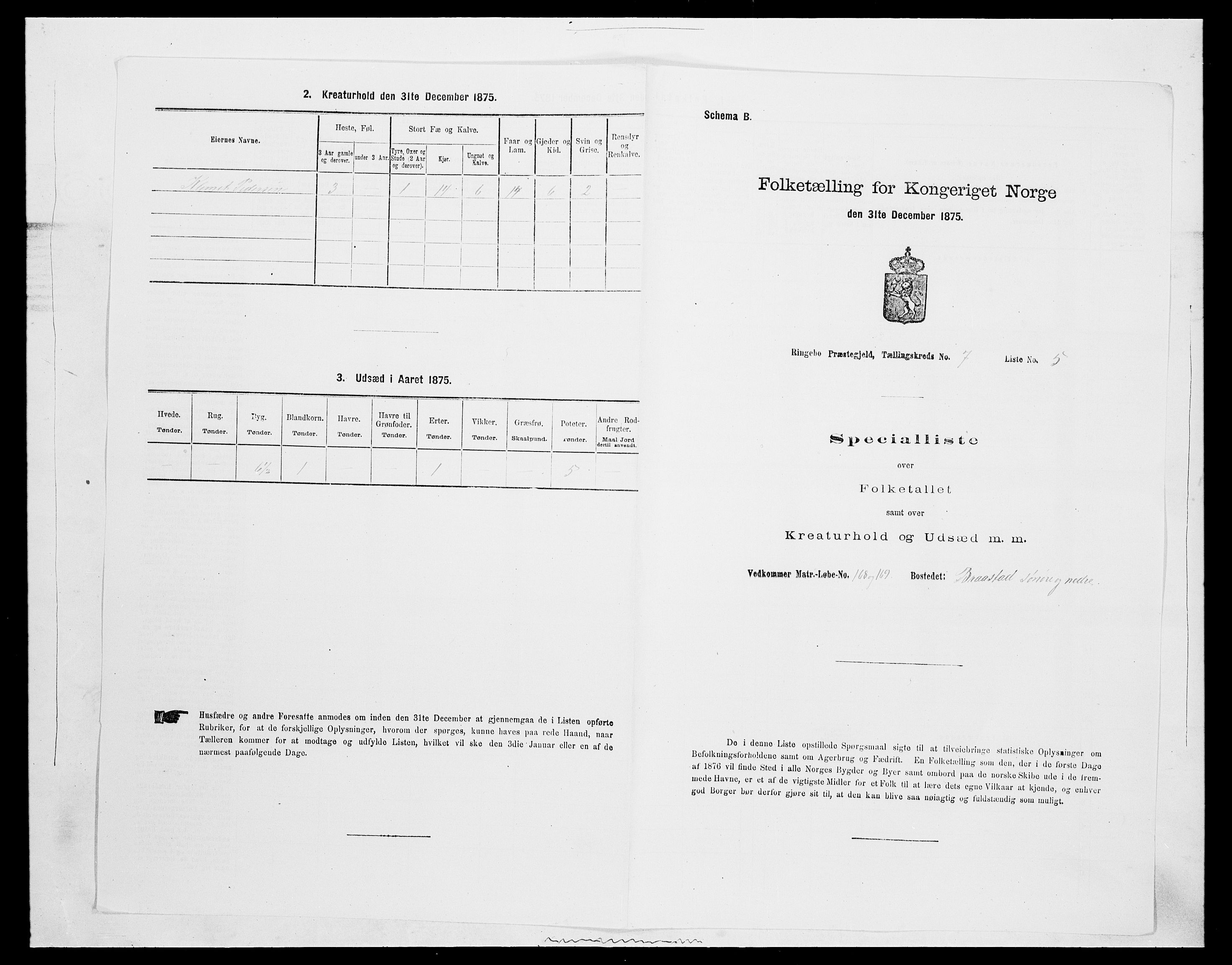 SAH, 1875 census for 0520P Ringebu, 1875, p. 1018