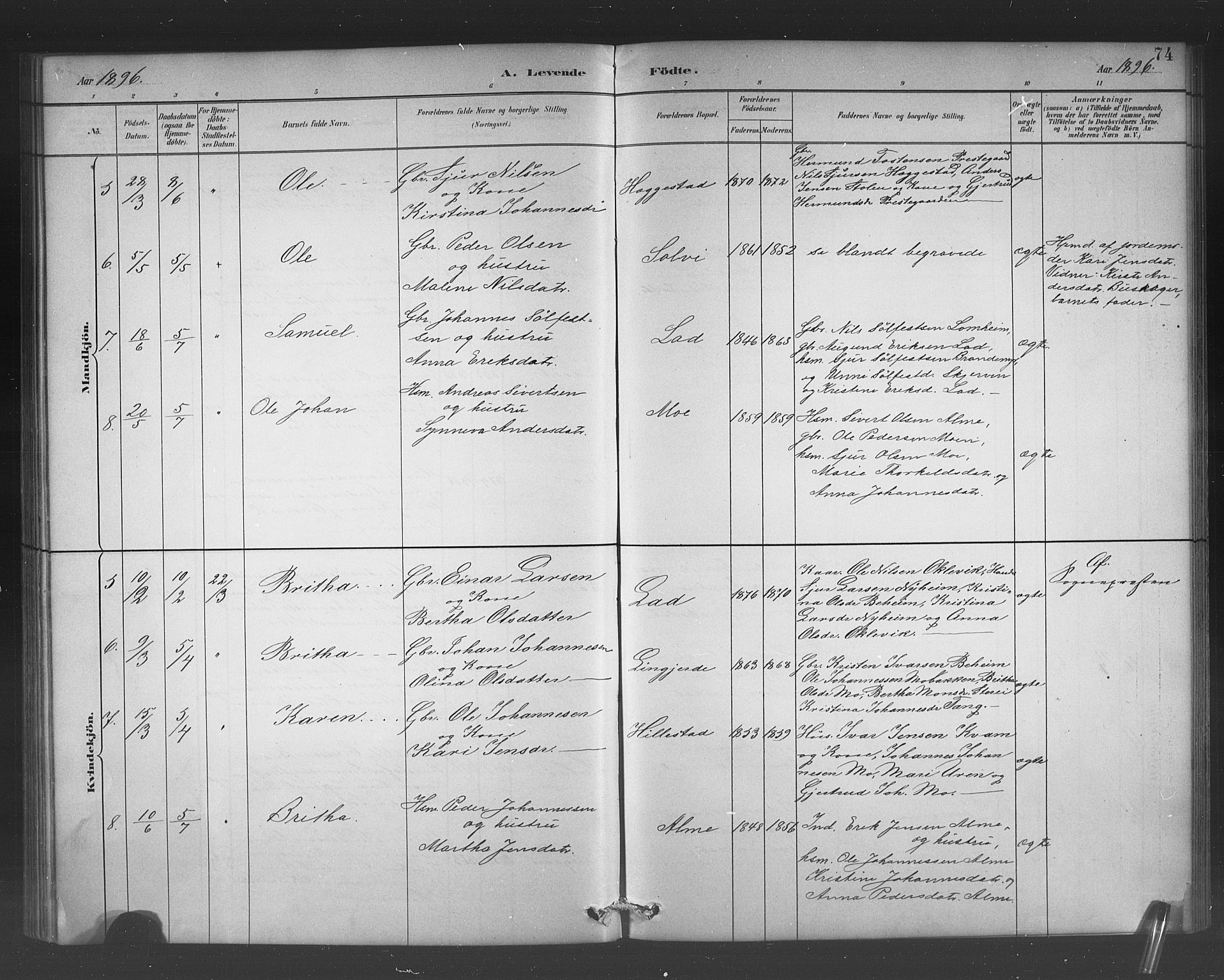 Hafslo sokneprestembete, AV/SAB-A-80301/H/Hab/Habb/L0001: Parish register (copy) no. B 1, 1882-1908, p. 74