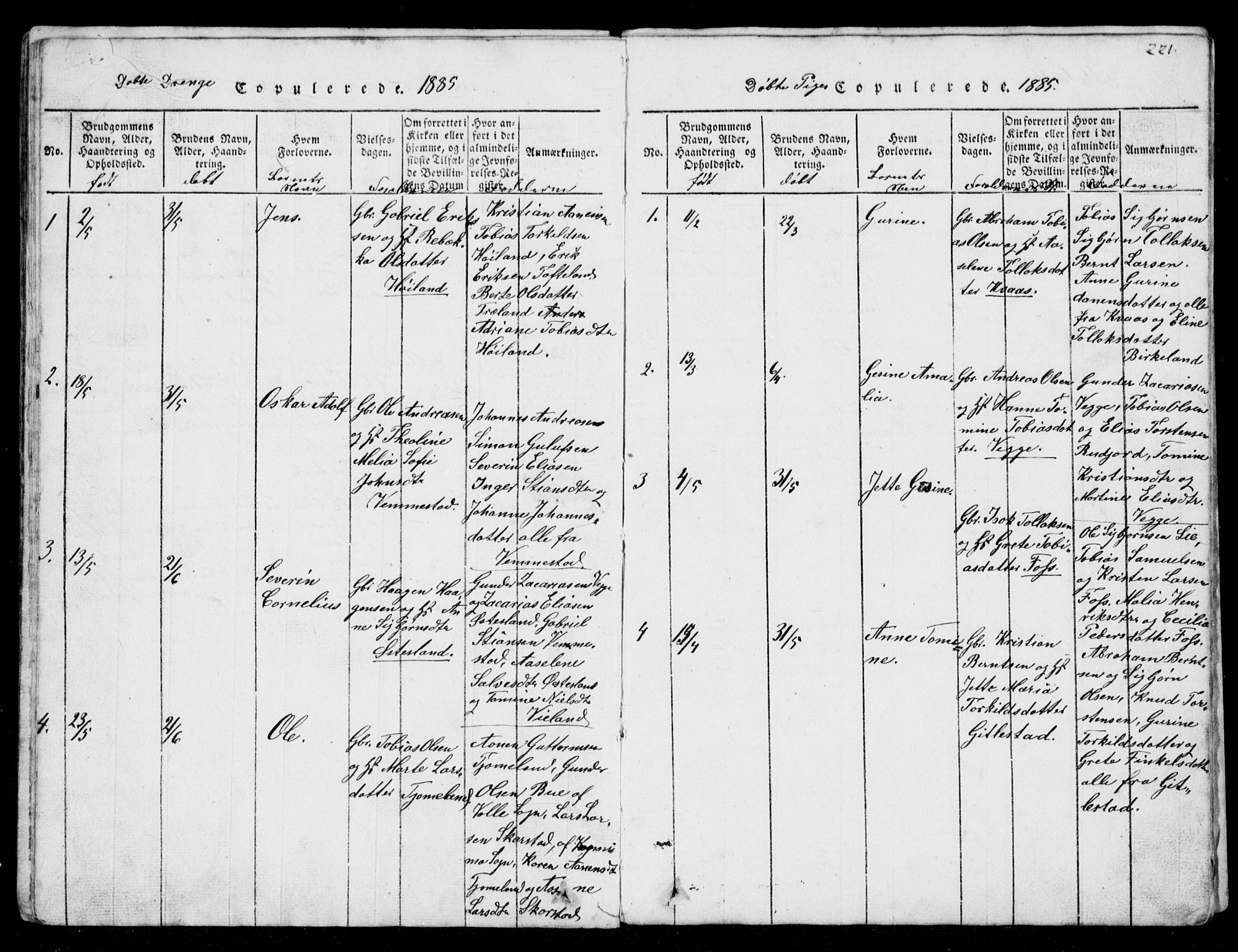 Lyngdal sokneprestkontor, AV/SAK-1111-0029/F/Fb/Fbb/L0001: Parish register (copy) no. B 1, 1816-1900, p. 221