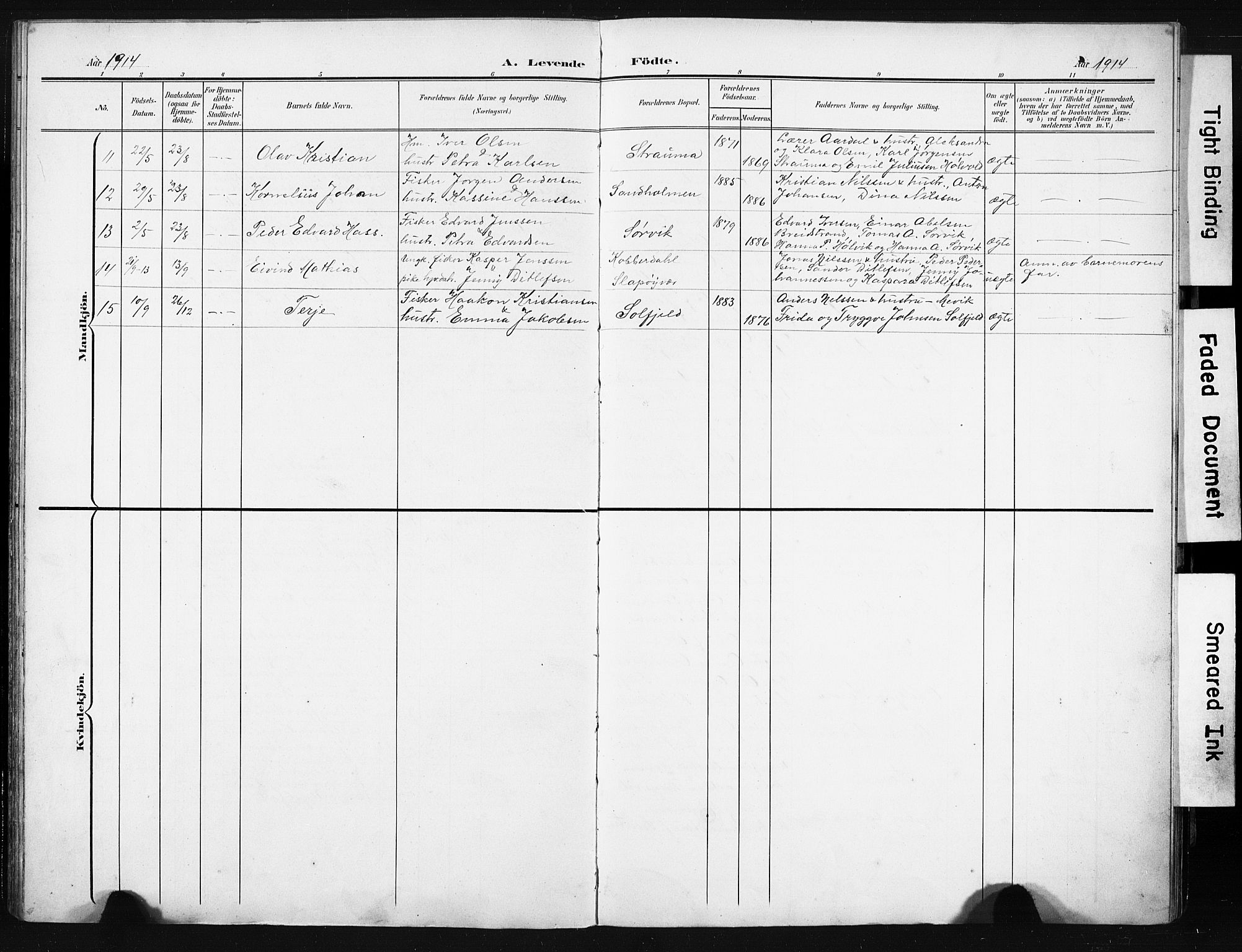 Ministerialprotokoller, klokkerbøker og fødselsregistre - Nordland, SAT/A-1459/836/L0538: Parish register (copy) no. 836C02, 1901-1917