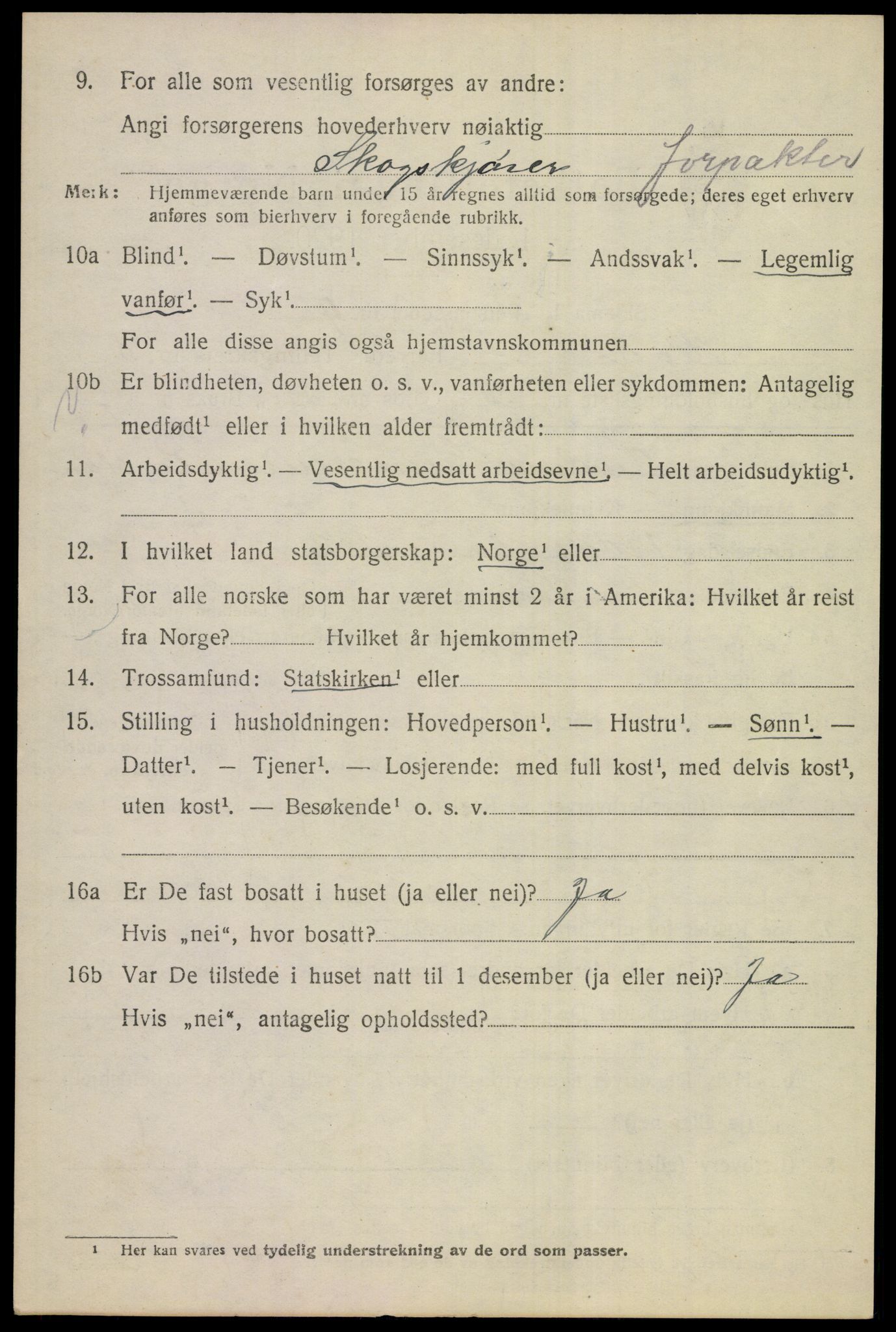 SAKO, 1920 census for Hole, 1920, p. 3544