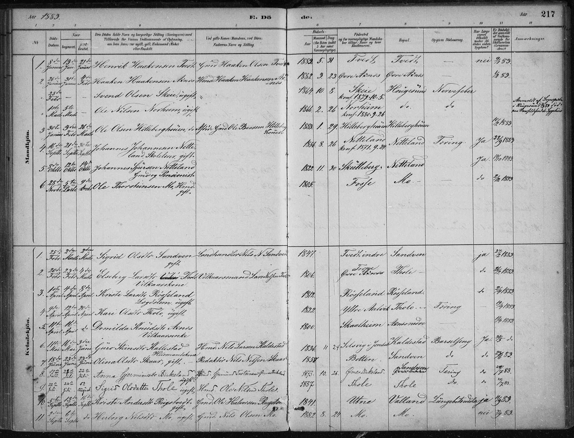 Kvam sokneprestembete, SAB/A-76201/H/Haa: Parish register (official) no. B  1, 1880-1908, p. 217