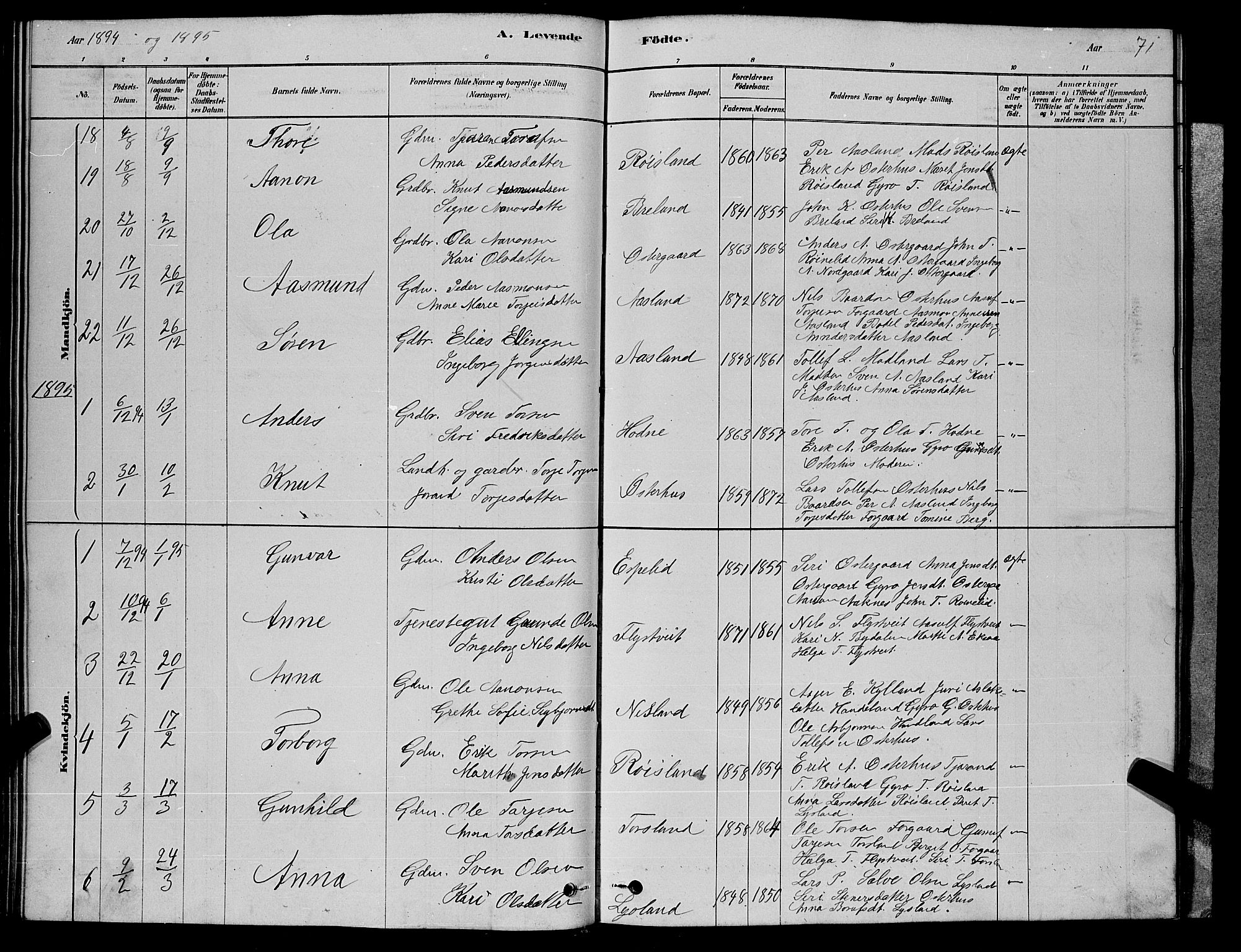 Åseral sokneprestkontor, AV/SAK-1111-0051/F/Fb/L0002: Parish register (copy) no. B 2, 1878-1899, p. 71