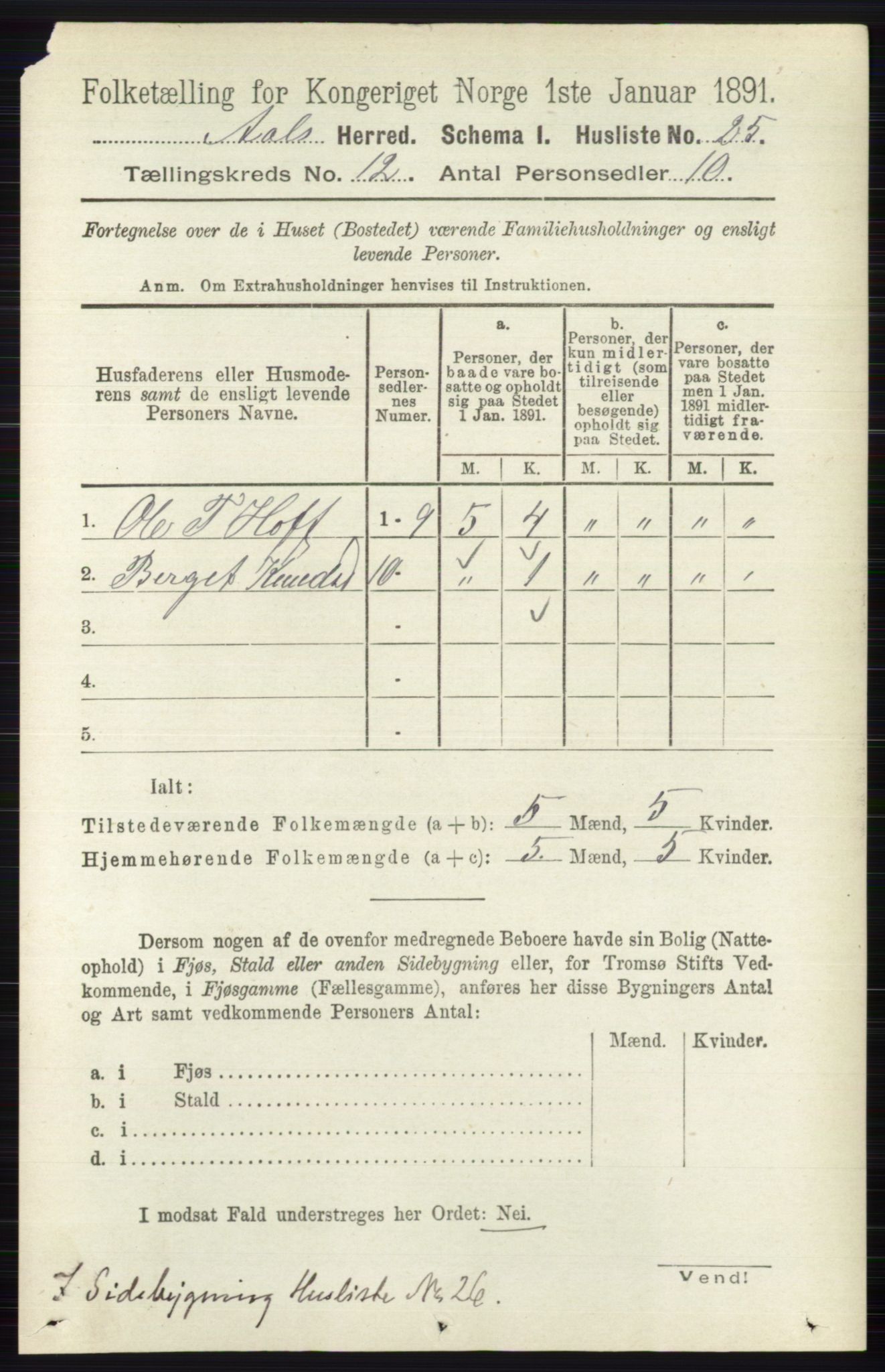 RA, 1891 census for 0619 Ål, 1891, p. 2994