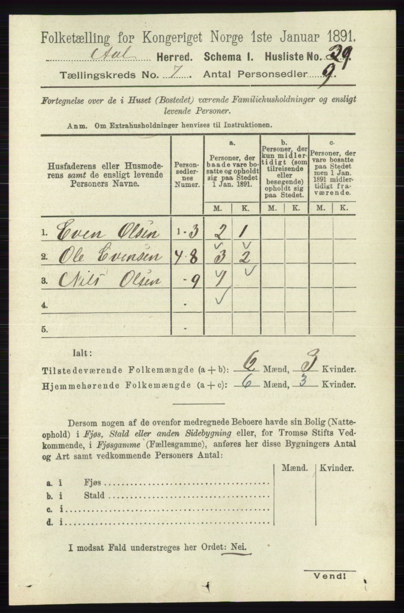 RA, 1891 census for 0619 Ål, 1891, p. 1810