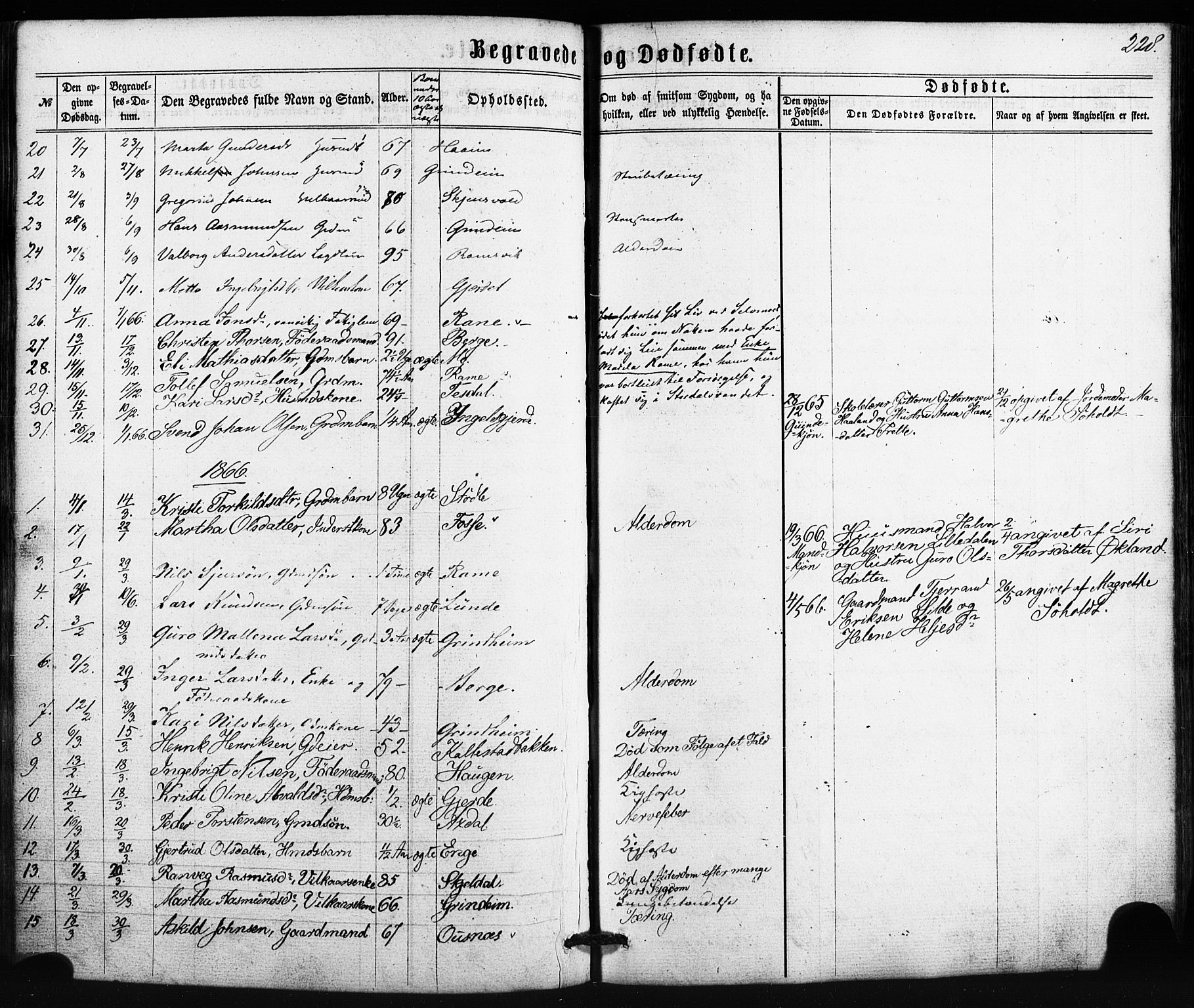 Etne sokneprestembete, SAB/A-75001/H/Haa: Parish register (official) no. A 9, 1862-1878, p. 228