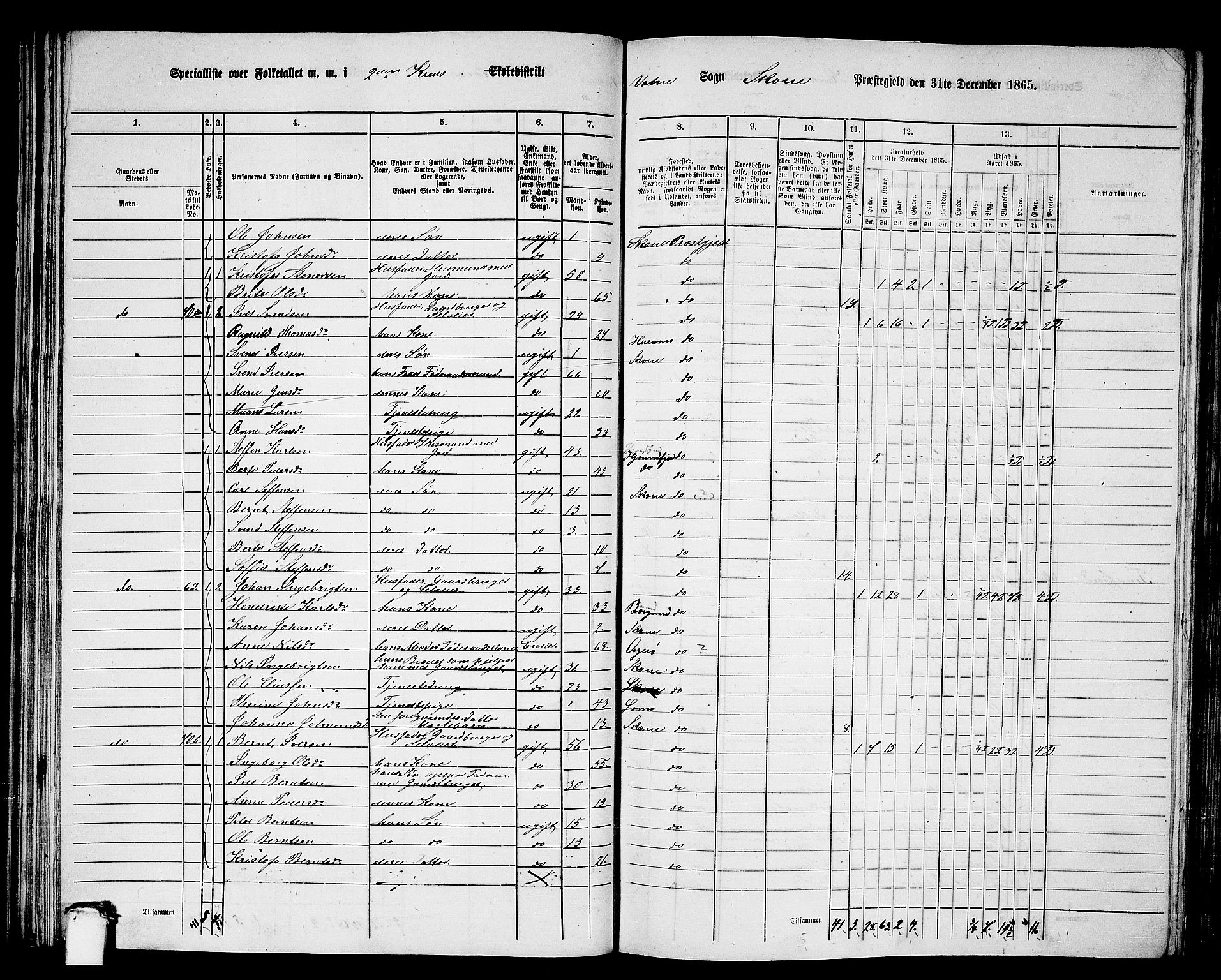 RA, 1865 census for Skodje, 1865, p. 63