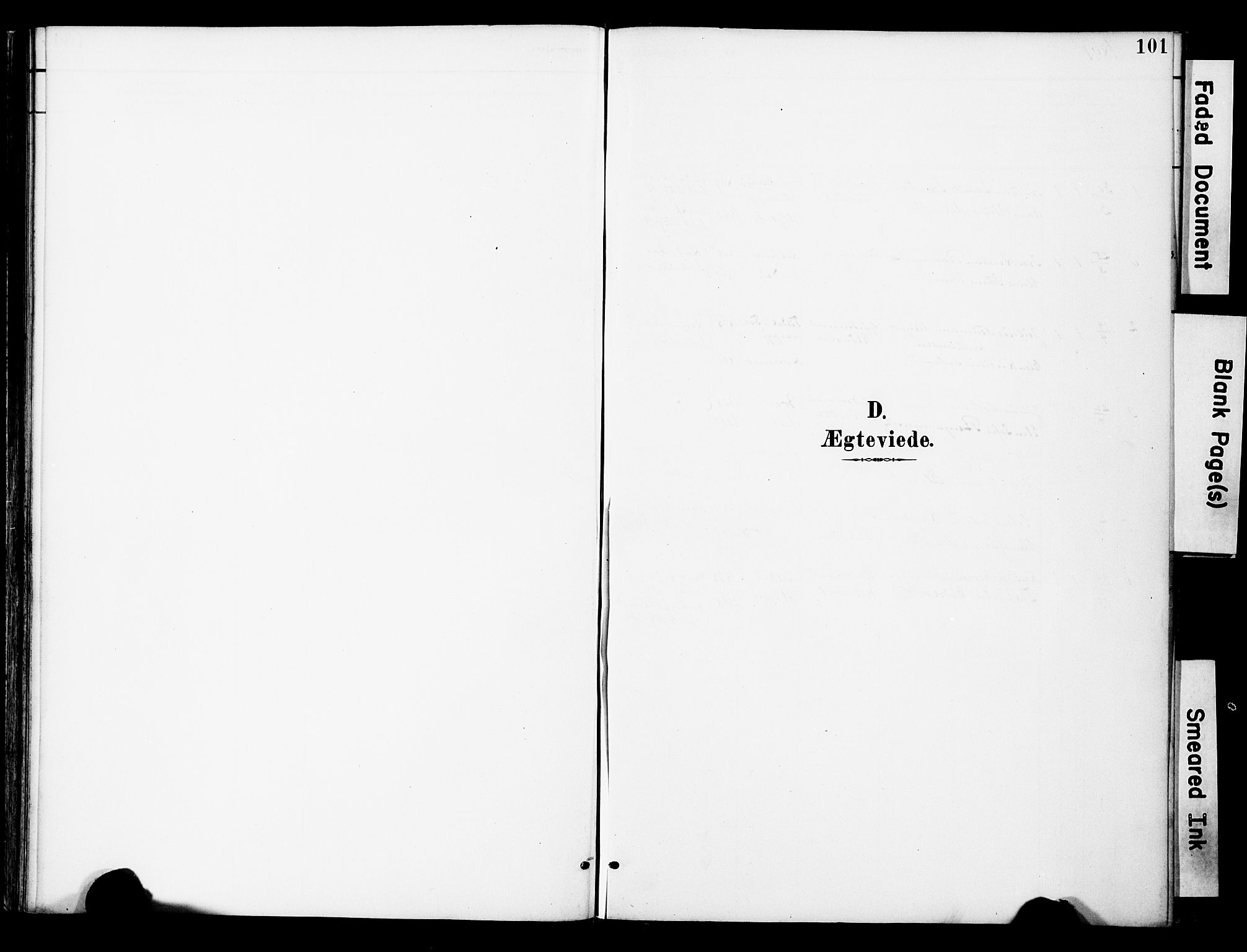 Ministerialprotokoller, klokkerbøker og fødselsregistre - Nord-Trøndelag, SAT/A-1458/742/L0409: Parish register (official) no. 742A02, 1891-1905, p. 101