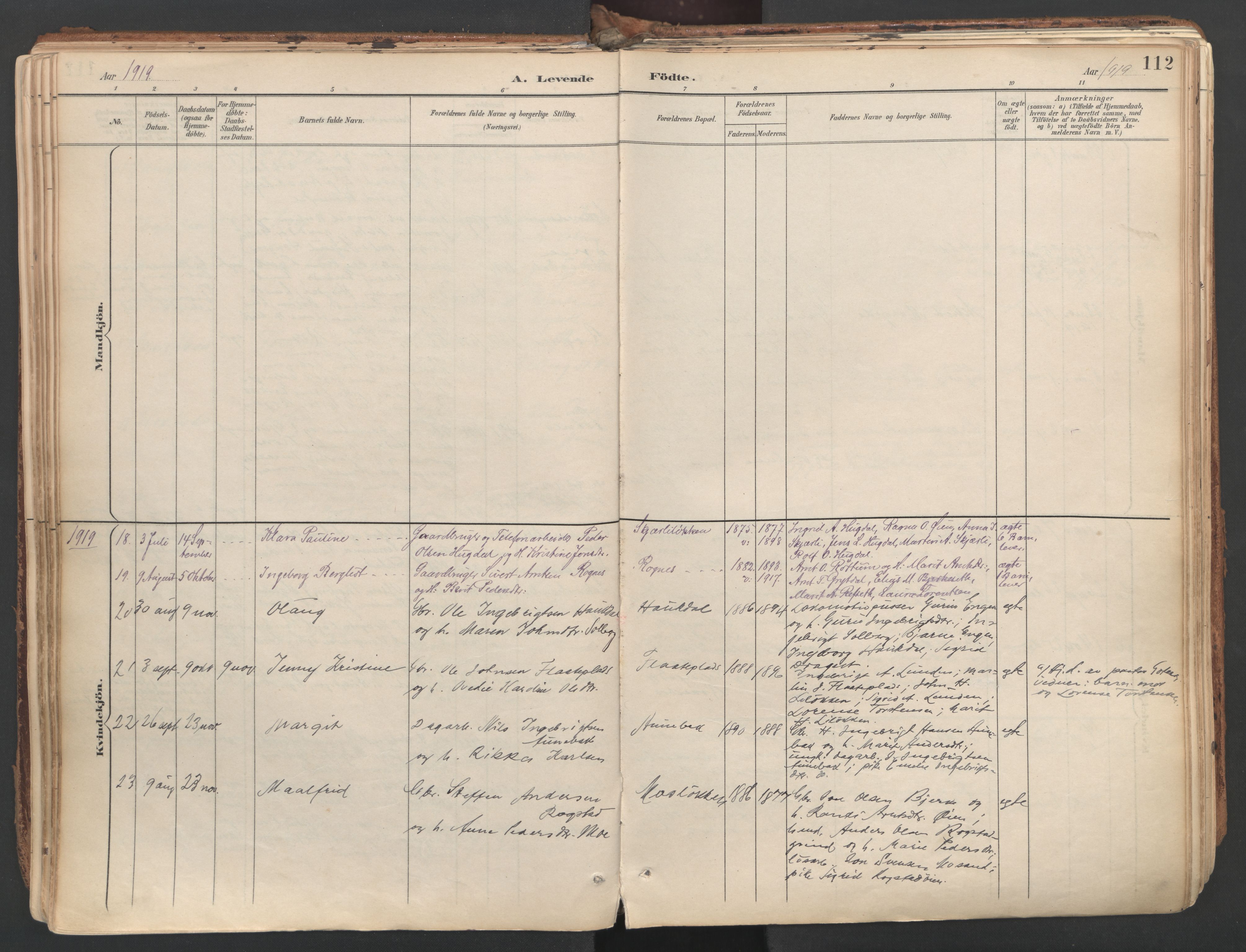 Ministerialprotokoller, klokkerbøker og fødselsregistre - Sør-Trøndelag, SAT/A-1456/687/L1004: Parish register (official) no. 687A10, 1891-1923, p. 112