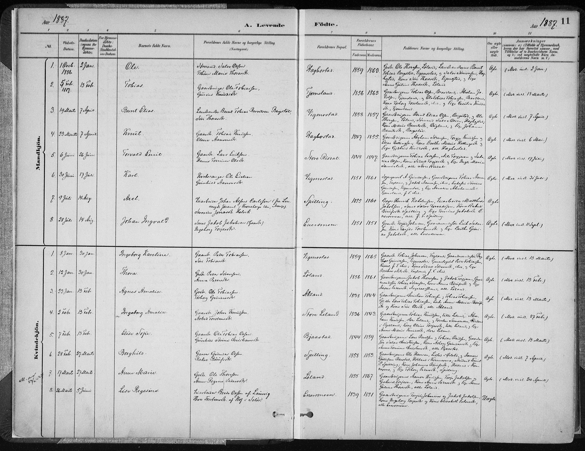 Nord-Audnedal sokneprestkontor, SAK/1111-0032/F/Fa/Fab/L0003: Parish register (official) no. A 3, 1882-1900, p. 11