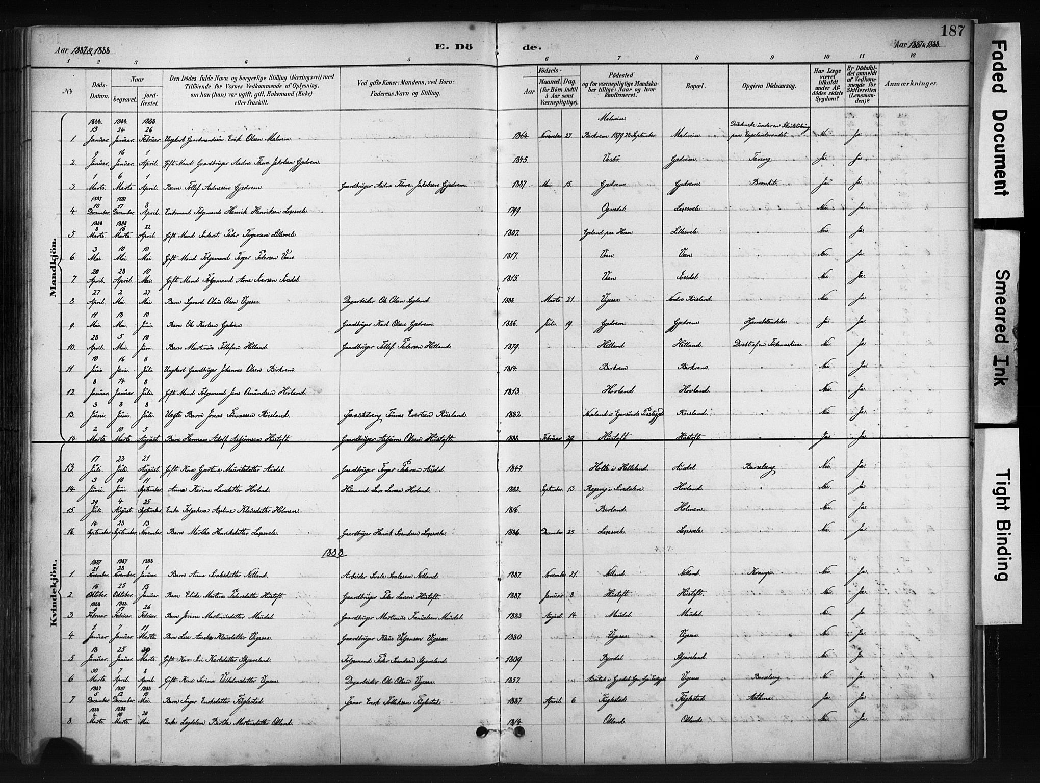 Helleland sokneprestkontor, AV/SAST-A-101810: Parish register (official) no. A 9, 1887-1908, p. 187