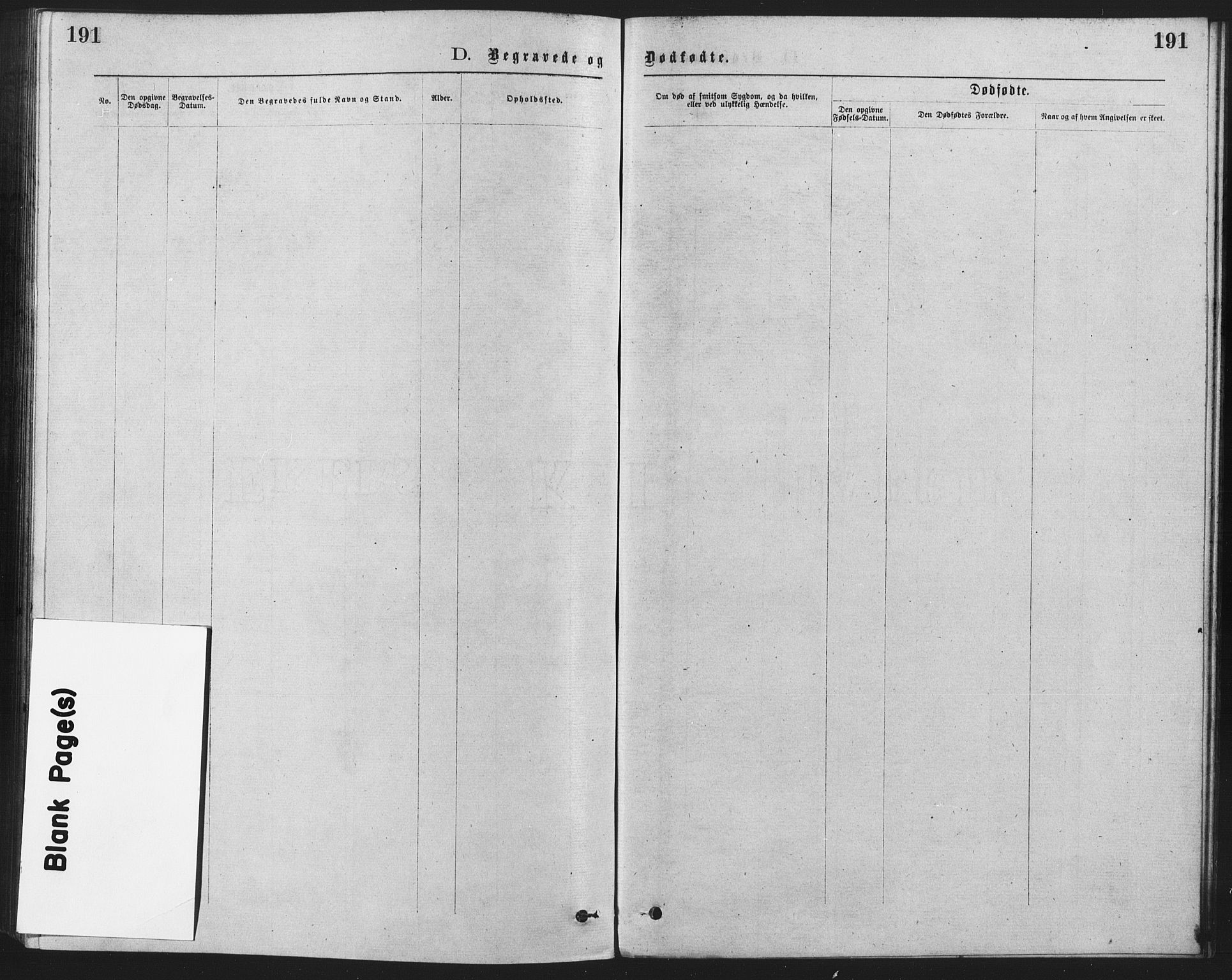 Trefoldighet prestekontor Kirkebøker, AV/SAO-A-10882/F/Fd/L0002: Parish register (official) no. IV 2, 1877-1885, p. 191