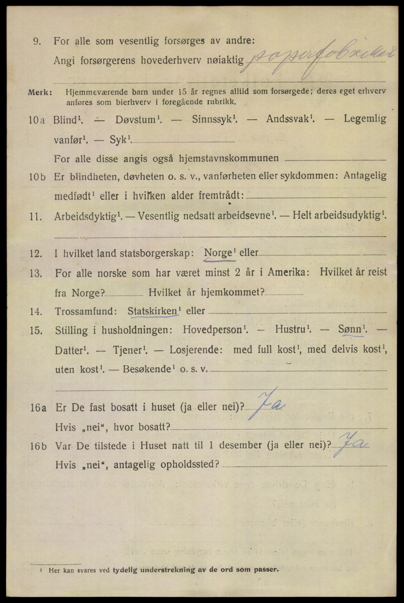 SAKO, 1920 census for Skien, 1920, p. 43531