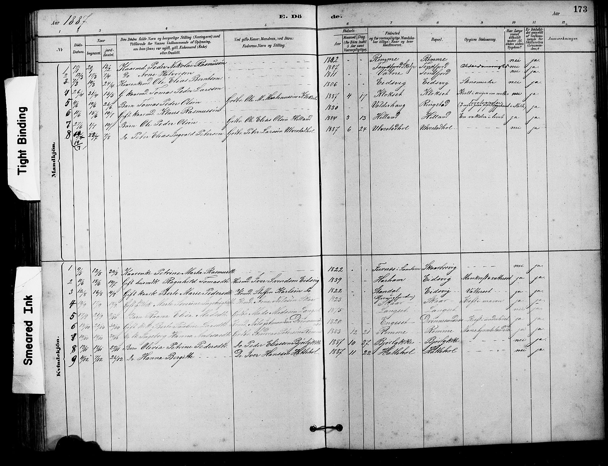 Ministerialprotokoller, klokkerbøker og fødselsregistre - Møre og Romsdal, AV/SAT-A-1454/525/L0376: Parish register (copy) no. 525C02, 1880-1902, p. 173