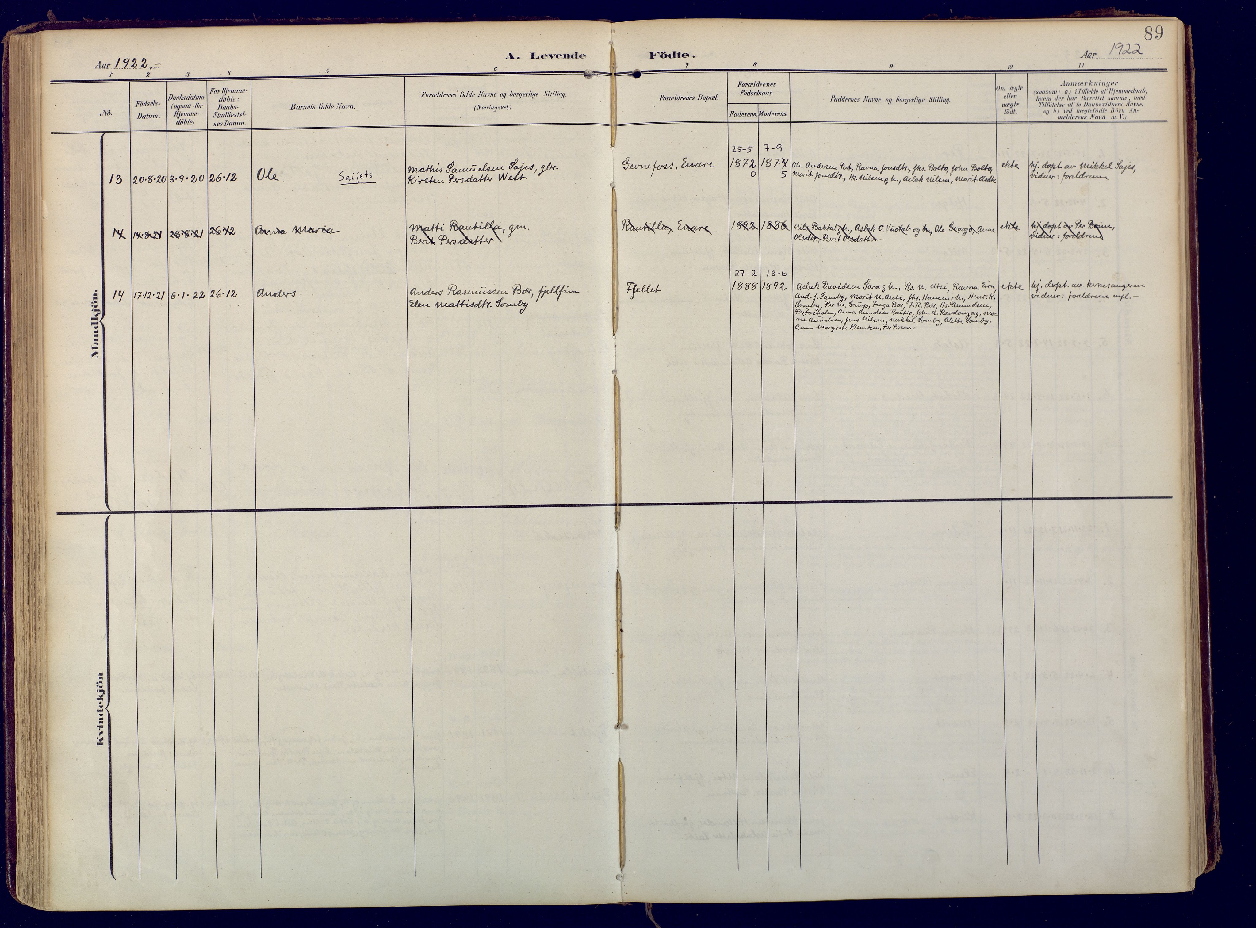 Karasjok sokneprestkontor, SATØ/S-1352/H/Ha: Parish register (official) no. 3, 1907-1926, p. 89