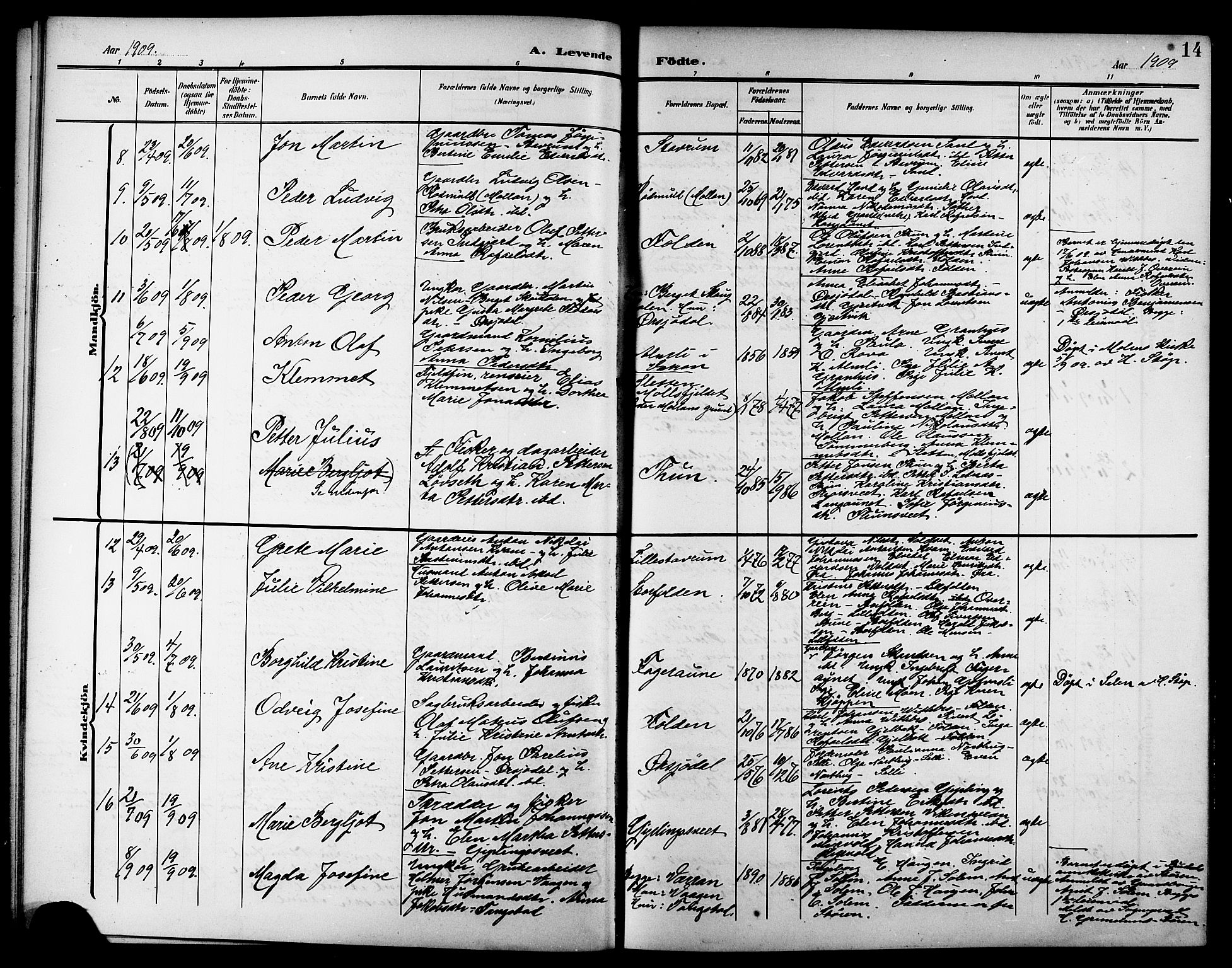 Ministerialprotokoller, klokkerbøker og fødselsregistre - Nord-Trøndelag, SAT/A-1458/744/L0424: Parish register (copy) no. 744C03, 1906-1923, p. 14