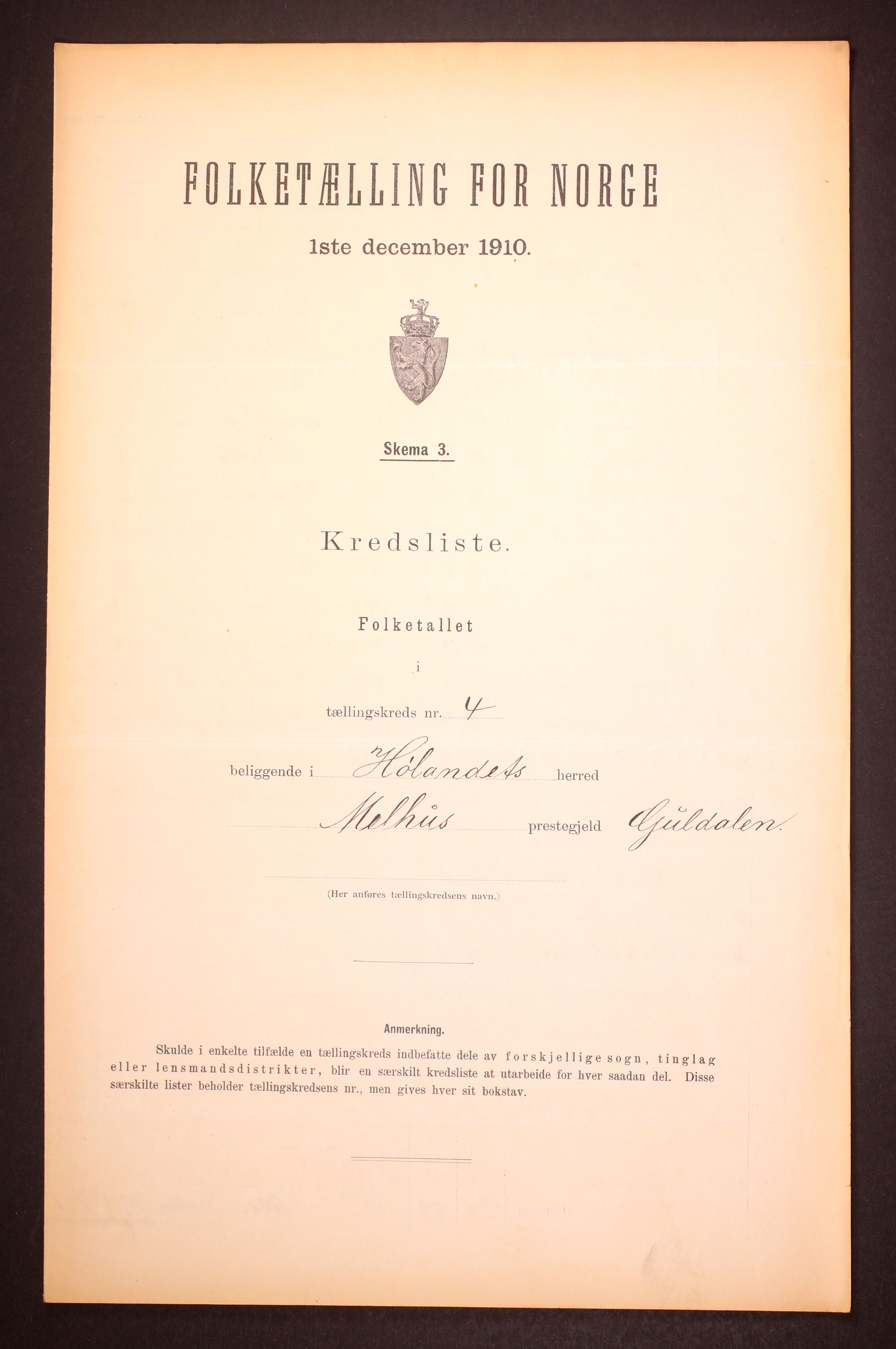 RA, 1910 census for Hølonda, 1910, p. 13