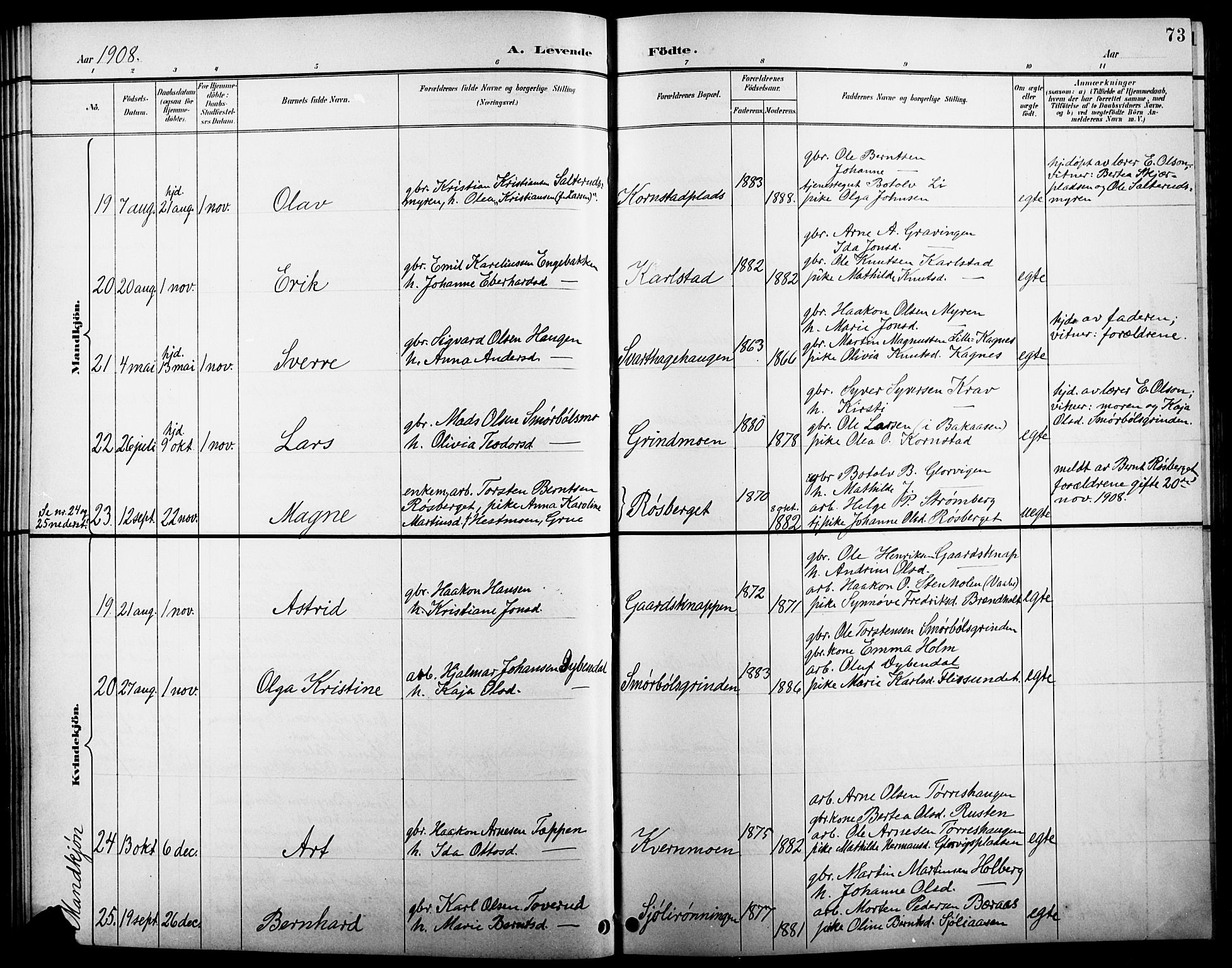 Åsnes prestekontor, AV/SAH-PREST-042/H/Ha/Hab/L0005: Parish register (copy) no. 5, 1895-1920, p. 73