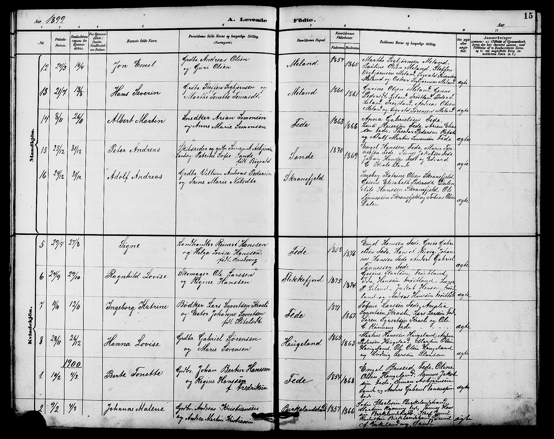 Kvinesdal sokneprestkontor, SAK/1111-0026/F/Fb/Fba/L0004: Parish register (copy) no. B 4, 1894-1909, p. 15