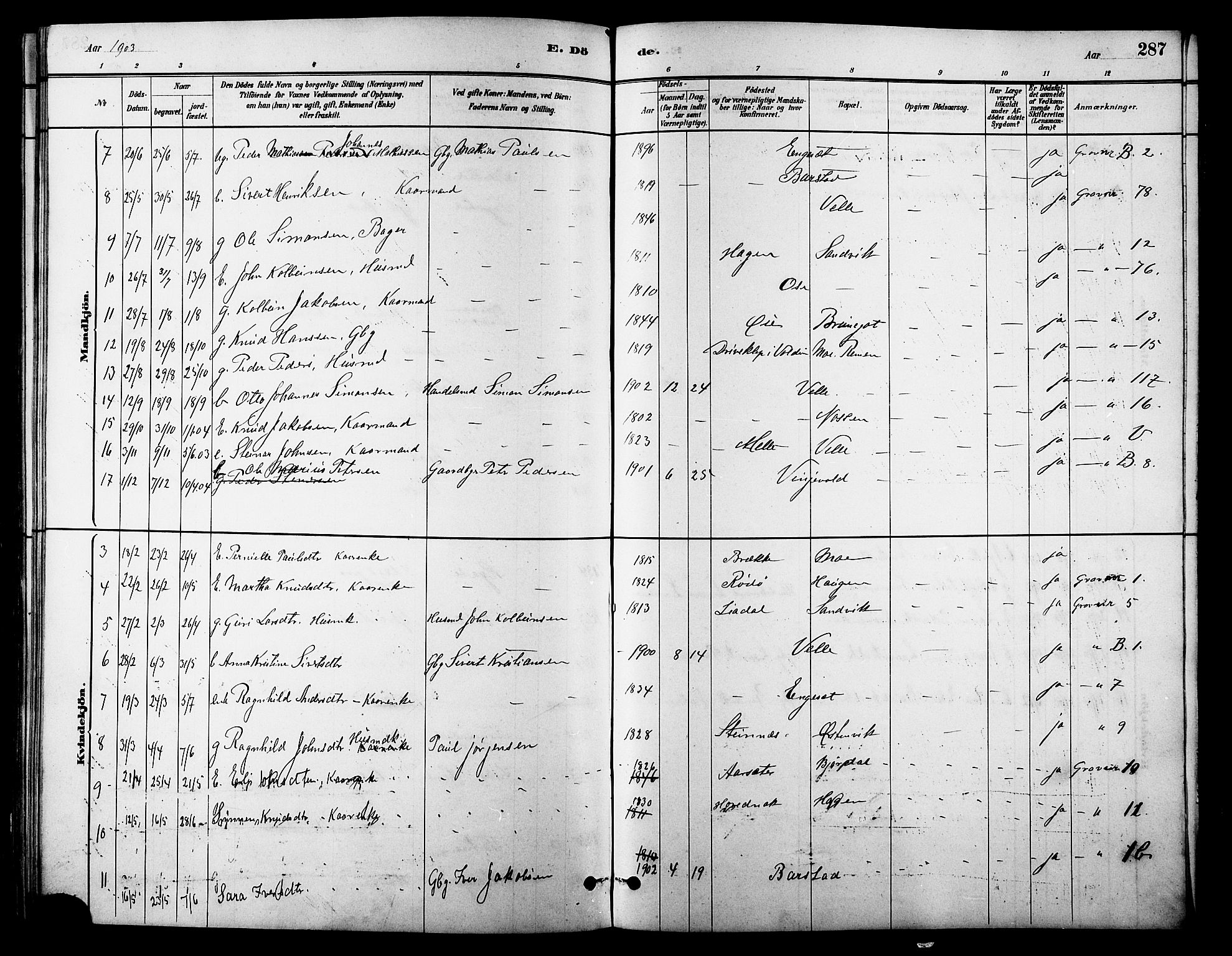 Ministerialprotokoller, klokkerbøker og fødselsregistre - Møre og Romsdal, AV/SAT-A-1454/513/L0189: Parish register (copy) no. 513C03, 1883-1904, p. 287