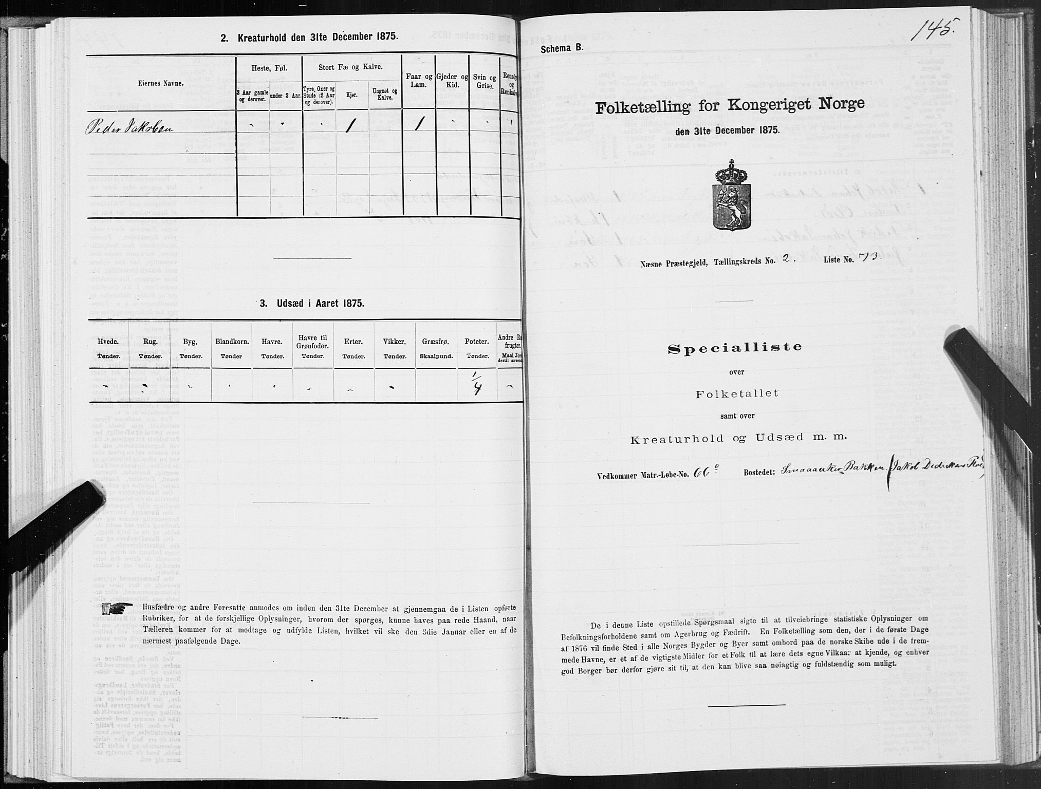 SAT, 1875 census for 1828P Nesna, 1875, p. 2145