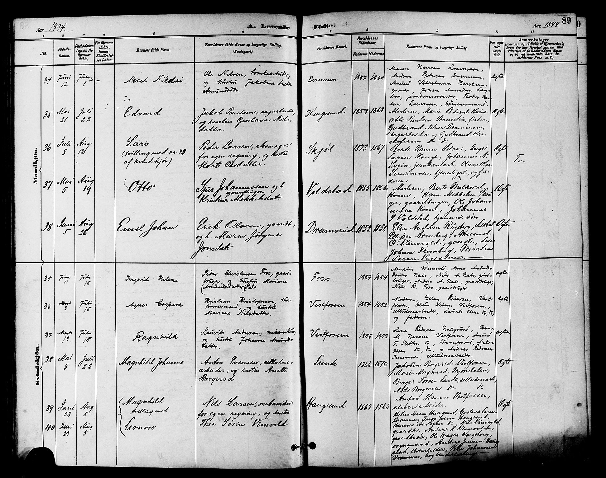 Eiker kirkebøker, SAKO/A-4/F/Fb/L0002: Parish register (official) no. II 2, 1889-1896, p. 89