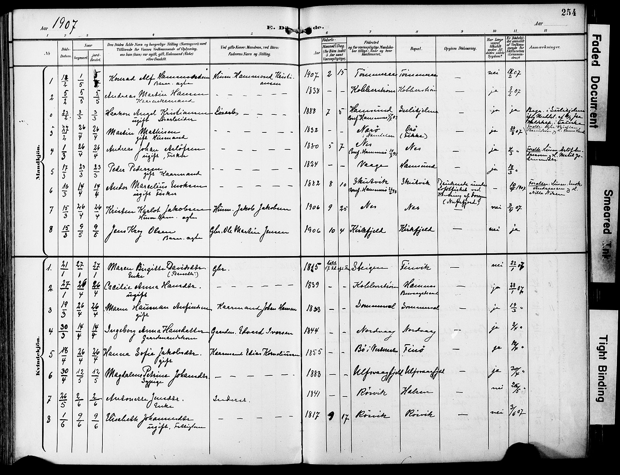 Ministerialprotokoller, klokkerbøker og fødselsregistre - Nordland, AV/SAT-A-1459/859/L0848: Parish register (official) no. 859A08, 1900-1912, p. 254