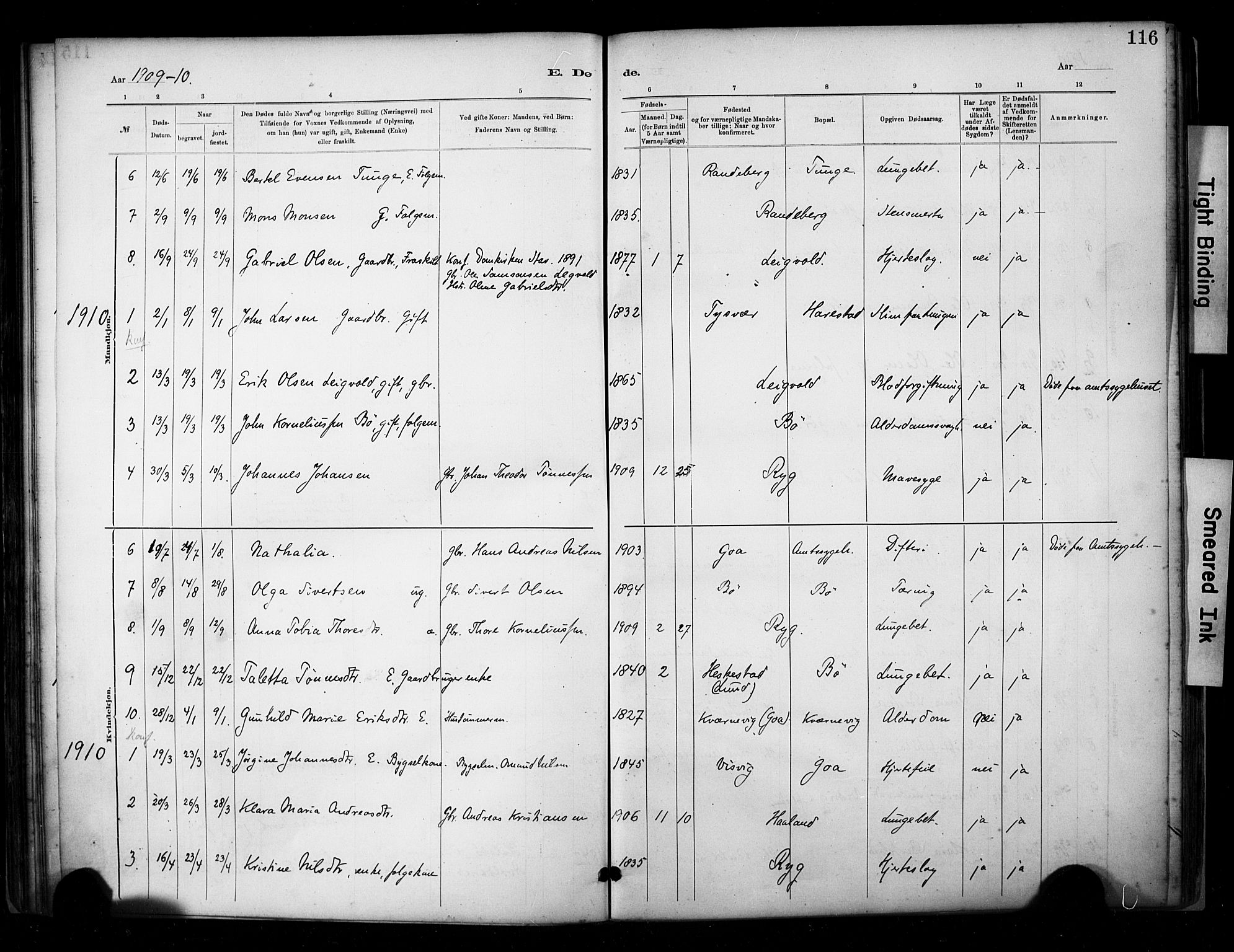 Hetland sokneprestkontor, SAST/A-101826/30/30BA/L0009: Parish register (official) no. A 9, 1882-1918, p. 116