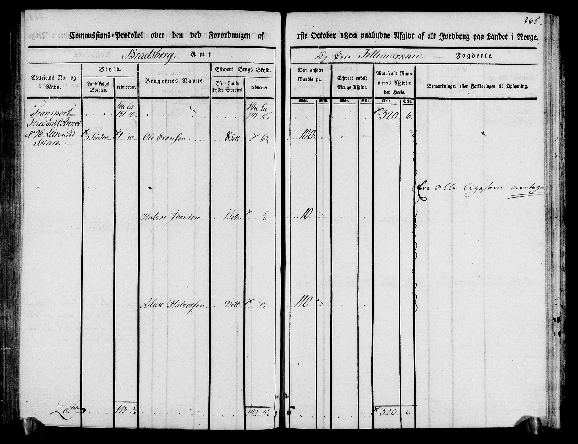 Rentekammeret inntil 1814, Realistisk ordnet avdeling, AV/RA-EA-4070/N/Ne/Nea/L0074: Øvre Telemarken fogderi. Kommisjonsprotokoll for fogderiets østre del - Tinn, Hjartdal og Seljord prestegjeld., 1803, p. 265