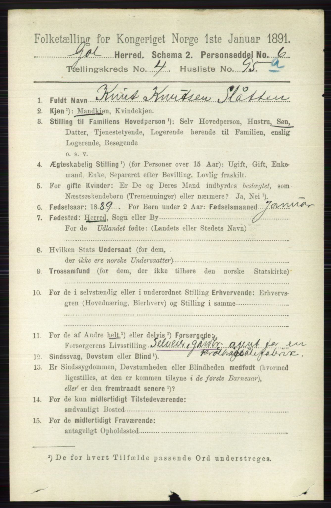 RA, 1891 census for 0617 Gol og Hemsedal, 1891, p. 2291