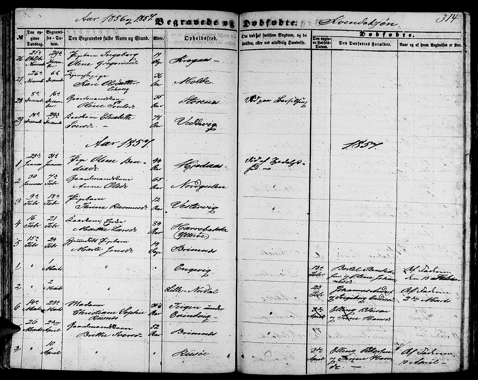 Gulen sokneprestembete, SAB/A-80201/H/Hab/Habb/L0001: Parish register (copy) no. B 1, 1854-1866, p. 314