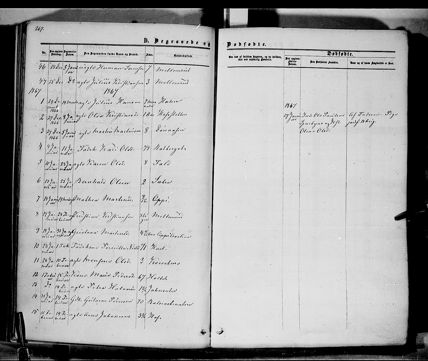 Hof prestekontor, SAH/PREST-038/H/Ha/Haa/L0009: Parish register (official) no. 9, 1862-1877, p. 267