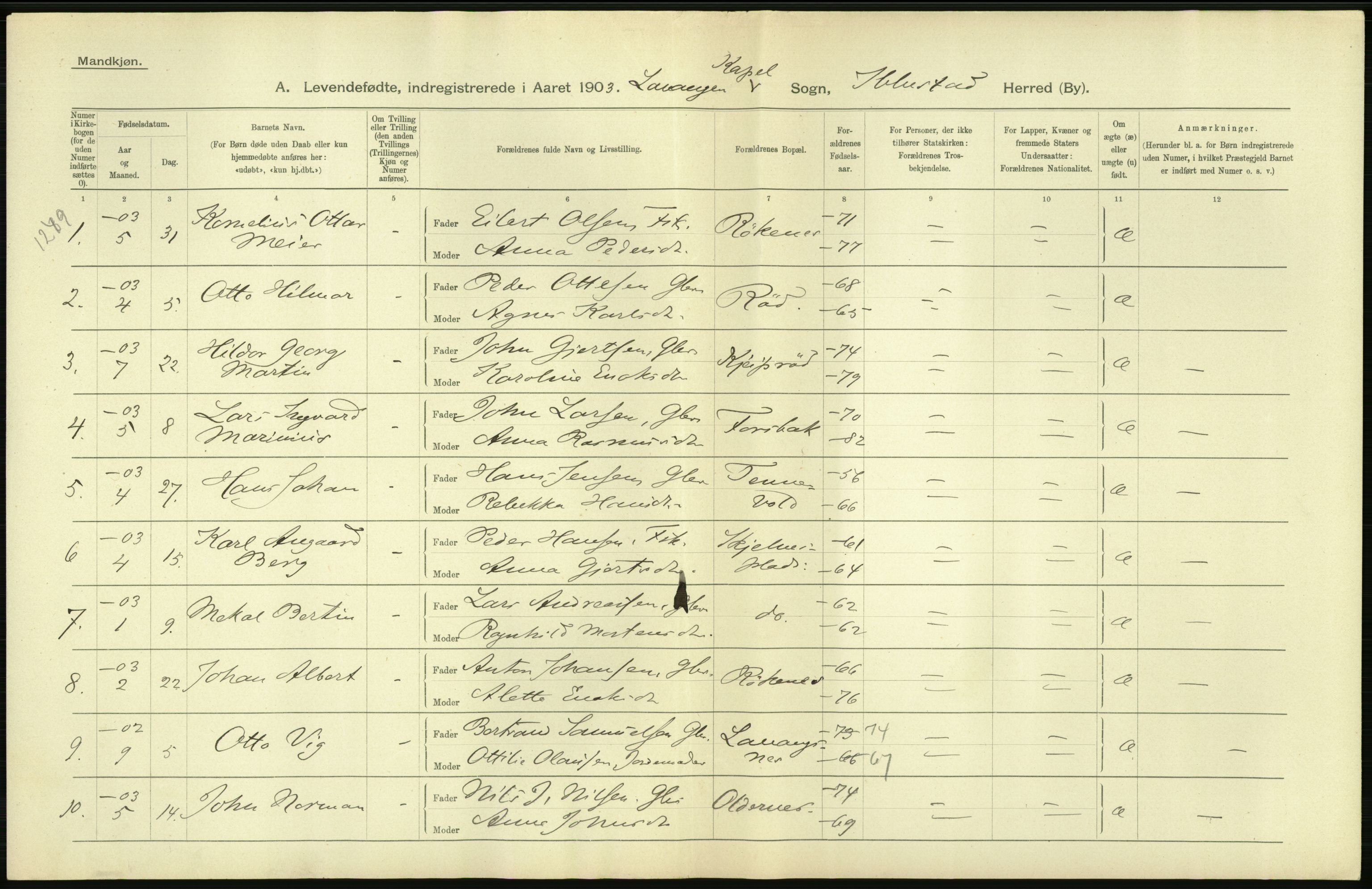 Statistisk sentralbyrå, Sosiodemografiske emner, Befolkning, AV/RA-S-2228/D/Df/Dfa/Dfaa/L0021: Tromsø amt: Fødte, gifte, døde., 1903, p. 32