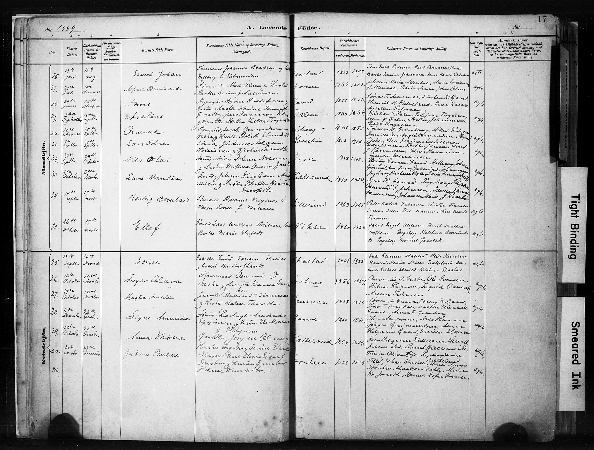 Haugesund sokneprestkontor, AV/SAST-A -101863/H/Ha/Haa/L0004: Parish register (official) no. A 4, 1886-1908, p. 17