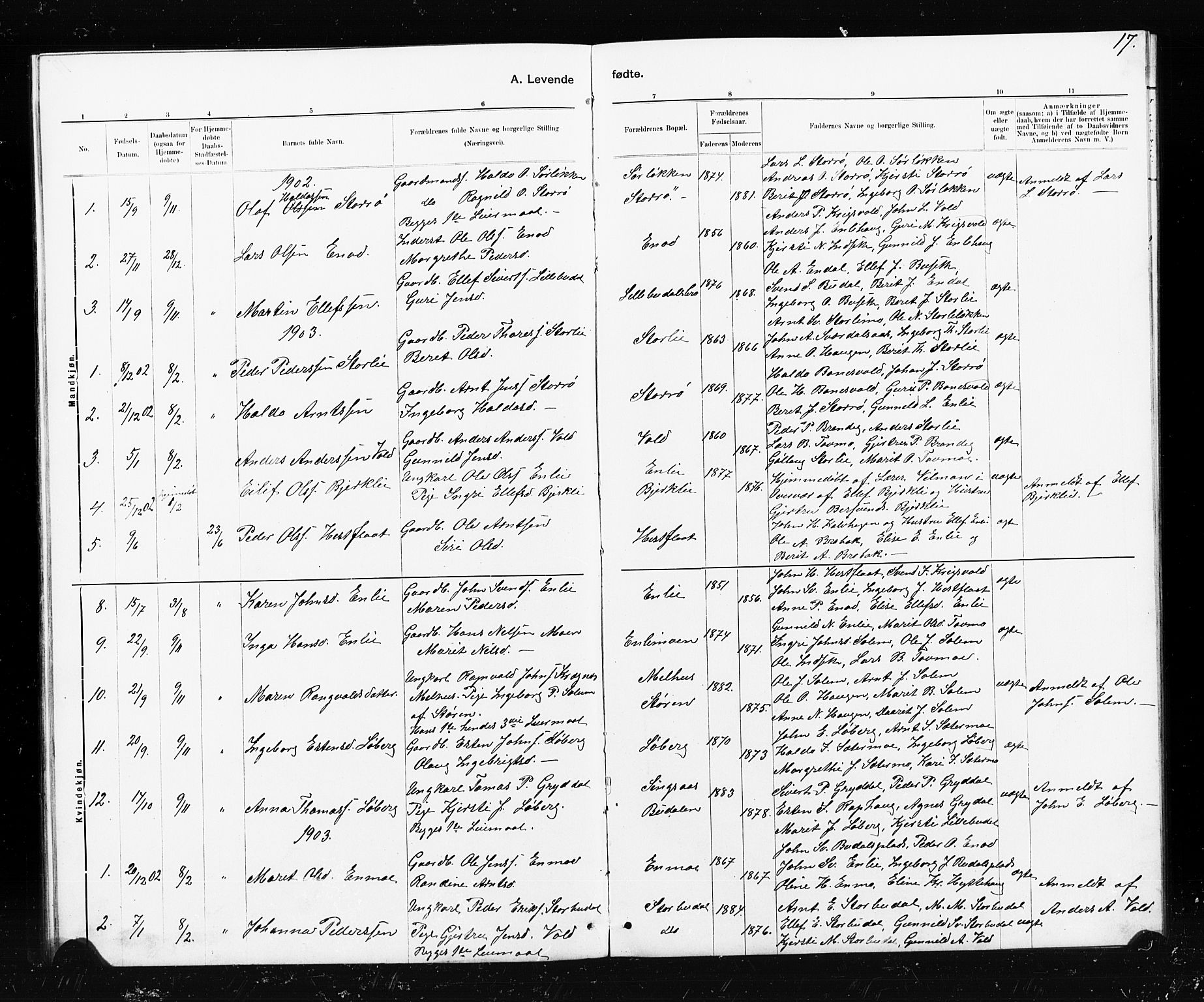 Ministerialprotokoller, klokkerbøker og fødselsregistre - Sør-Trøndelag, SAT/A-1456/690/L1051: Parish register (copy) no. 690C01, 1887-1908, p. 17