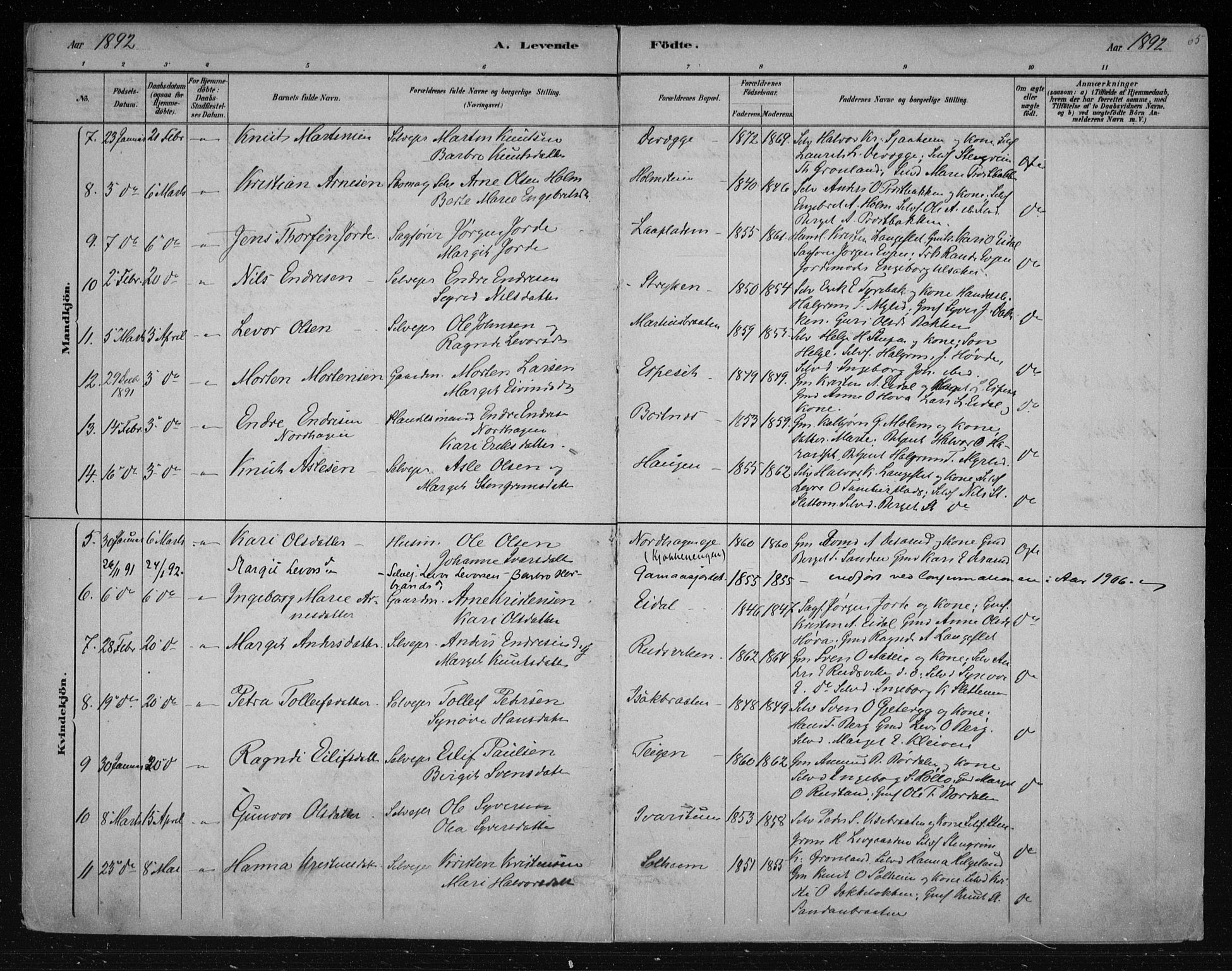 Nes kirkebøker, AV/SAKO-A-236/F/Fa/L0011: Parish register (official) no. 11, 1881-1912, p. 65