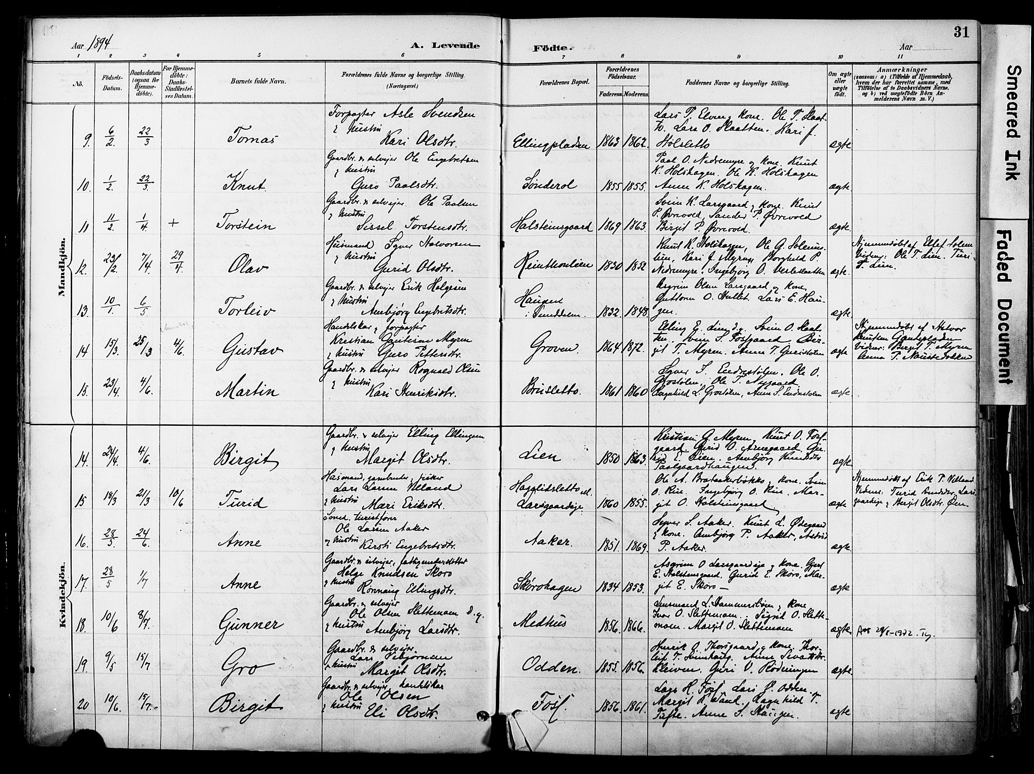 Hol kirkebøker, AV/SAKO-A-227/F/Fa/L0003: Parish register (official) no. I 3, 1887-1918, p. 31