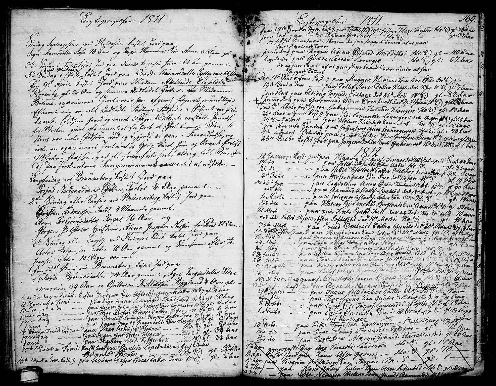 Kviteseid kirkebøker, SAKO/A-276/F/Fa/L0004: Parish register (official) no. I 4, 1800-1814, p. 169