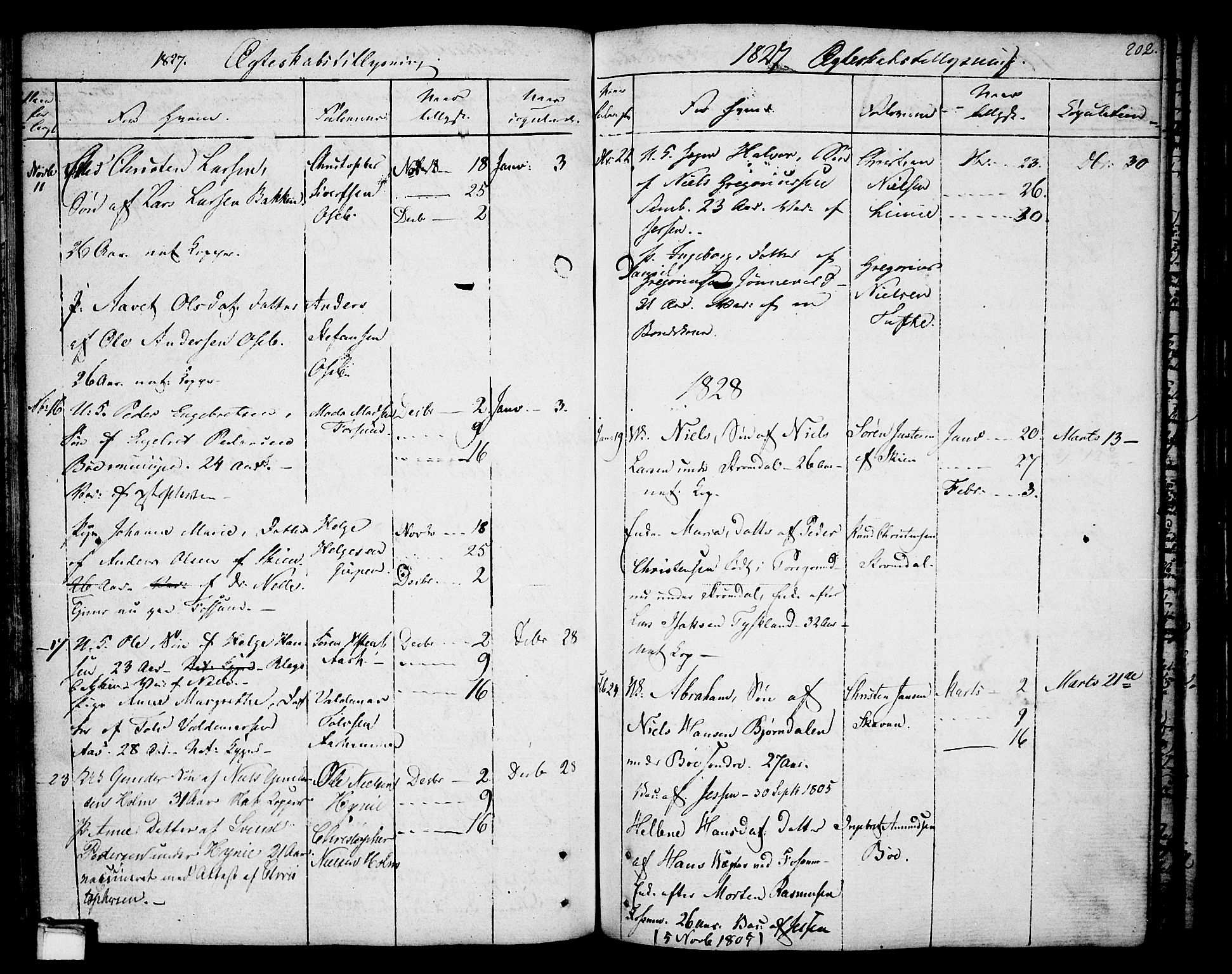 Gjerpen kirkebøker, SAKO/A-265/F/Fa/L0003: Parish register (official) no. I 3, 1796-1814, p. 202