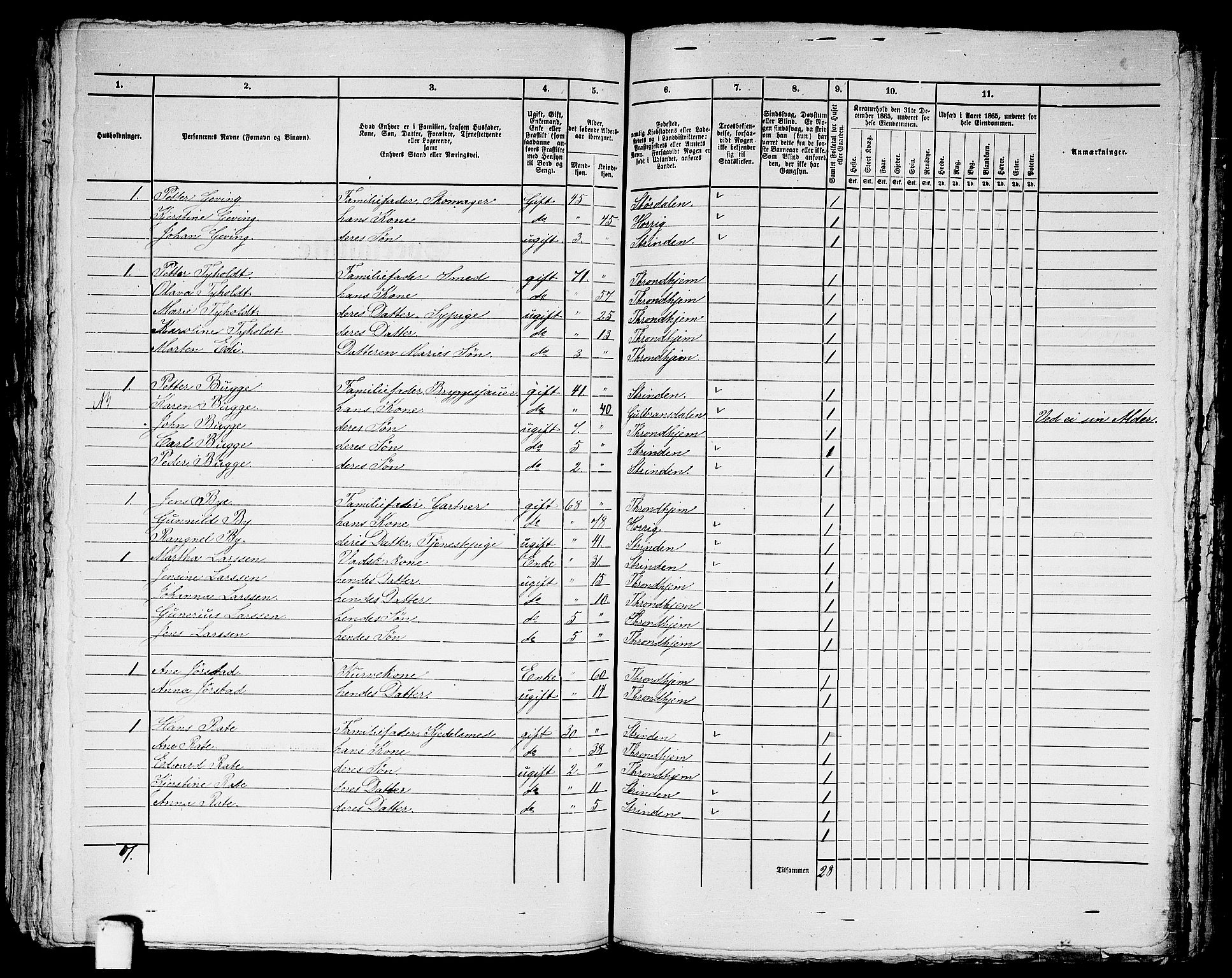 RA, 1865 census for Trondheim, 1865, p. 2768