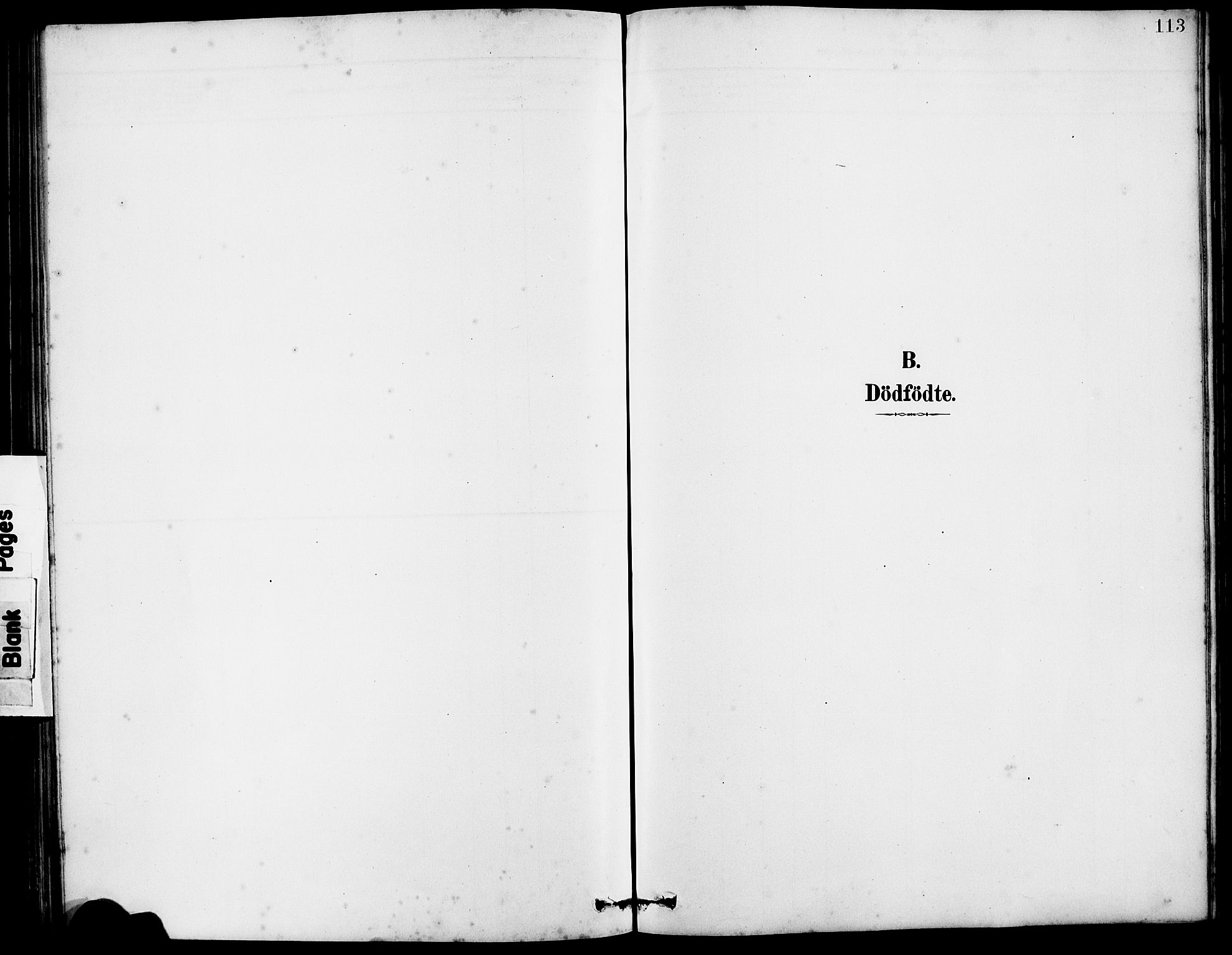 Arna Sokneprestembete, SAB/A-74001/H/Ha/Hab: Parish register (copy) no. A 3, 1887-1897, p. 113
