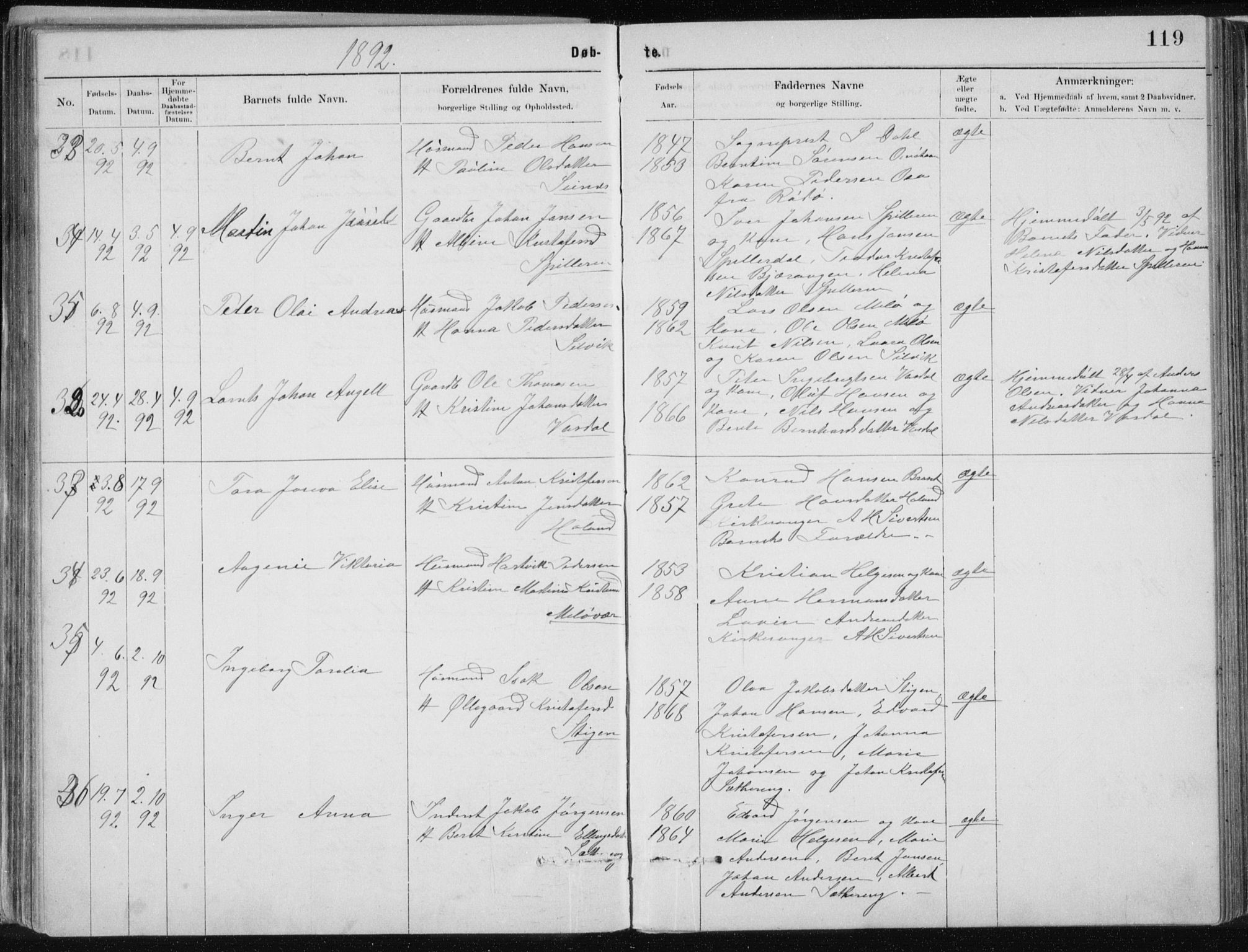 Ministerialprotokoller, klokkerbøker og fødselsregistre - Nordland, SAT/A-1459/843/L0636: Parish register (copy) no. 843C05, 1884-1909, p. 119