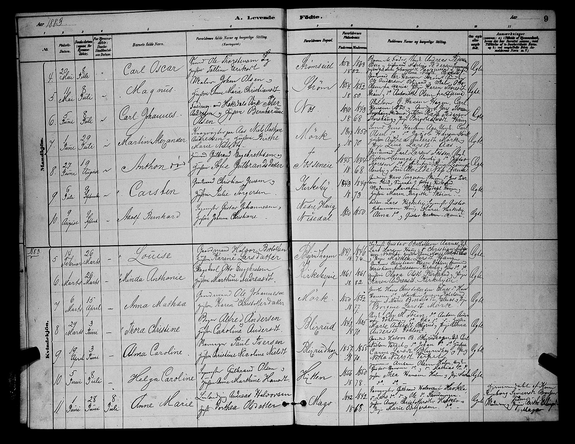 Nittedal prestekontor Kirkebøker, AV/SAO-A-10365a/G/Gb/L0002: Parish register (copy) no. II 2, 1879-1901, p. 9