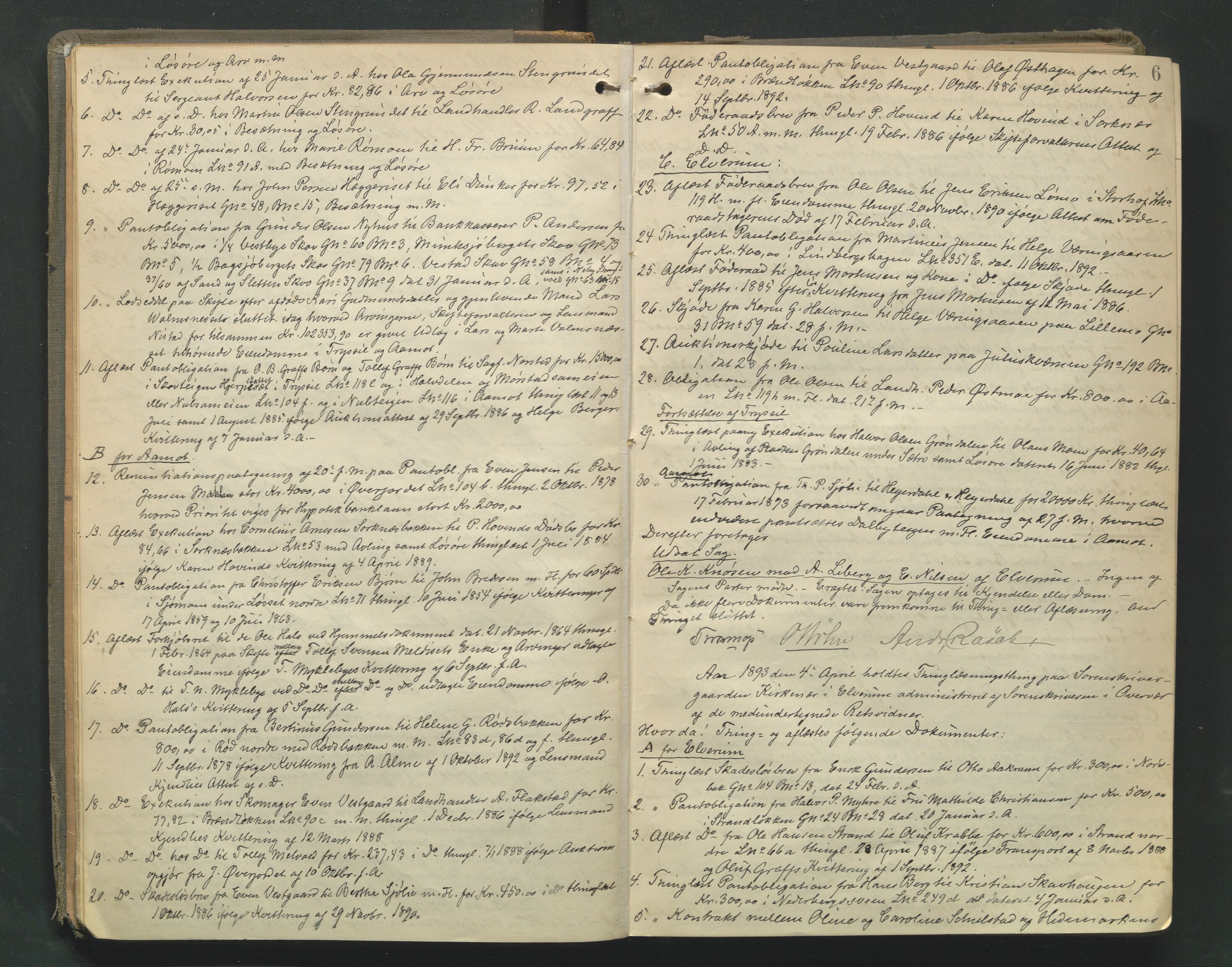 Sør-Østerdal sorenskriveri, AV/SAH-TING-018/G/Gb/L0013: Tingbok, 1893-1897, p. 5b-6a