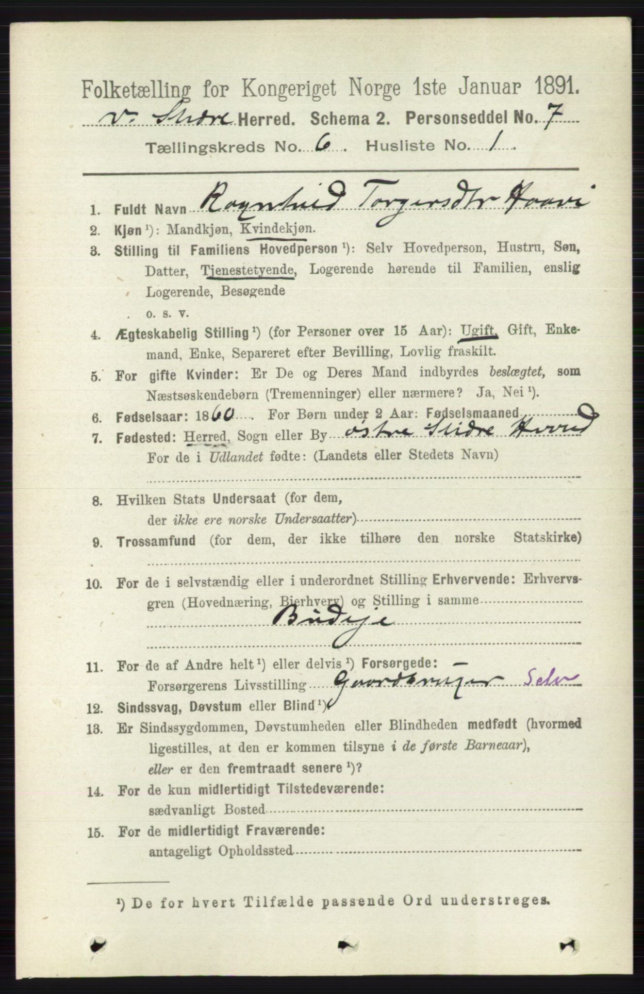 RA, 1891 census for 0543 Vestre Slidre, 1891, p. 2069